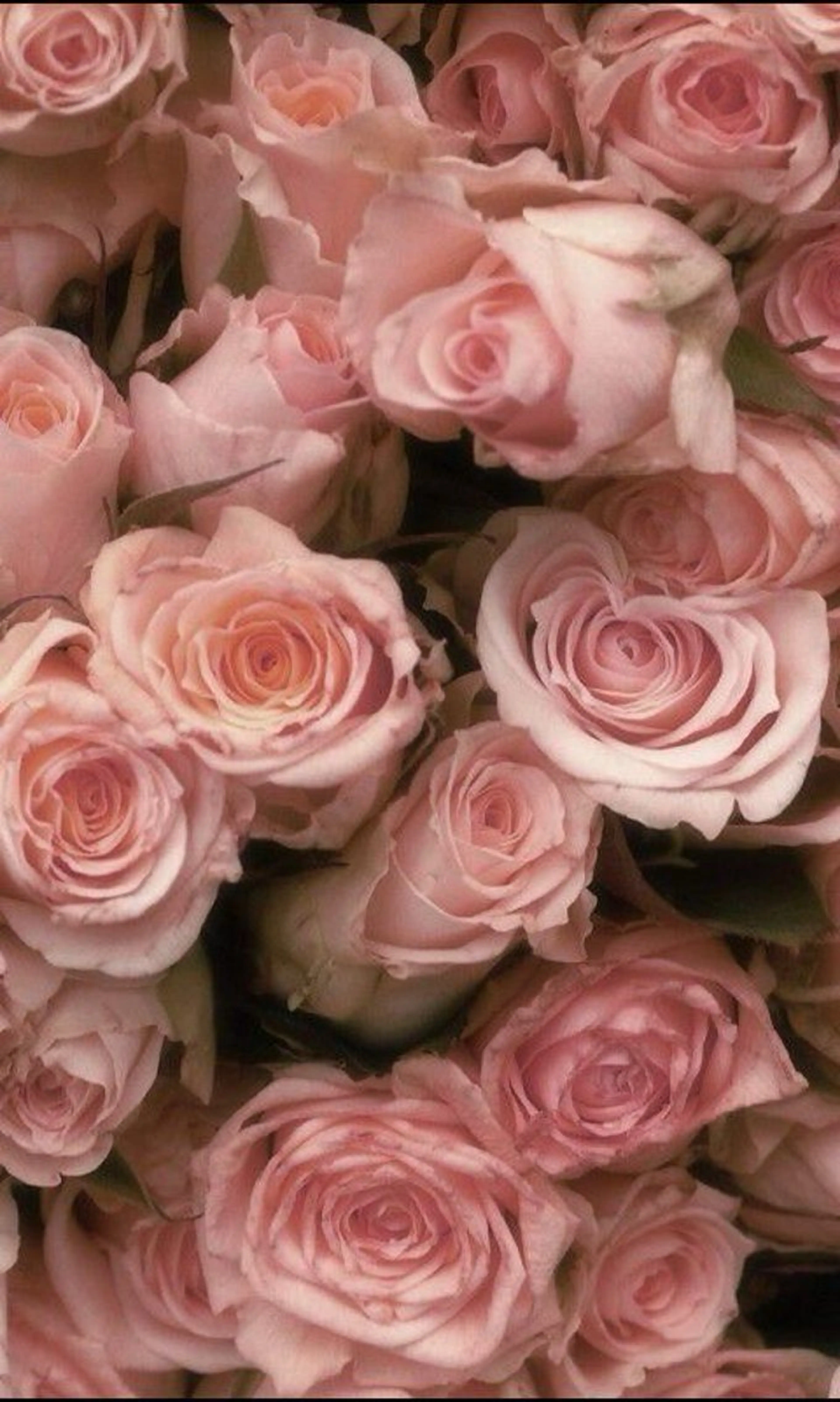 ネイル ASA nail / ニュアンス☀︎個性派のネイルデザイン