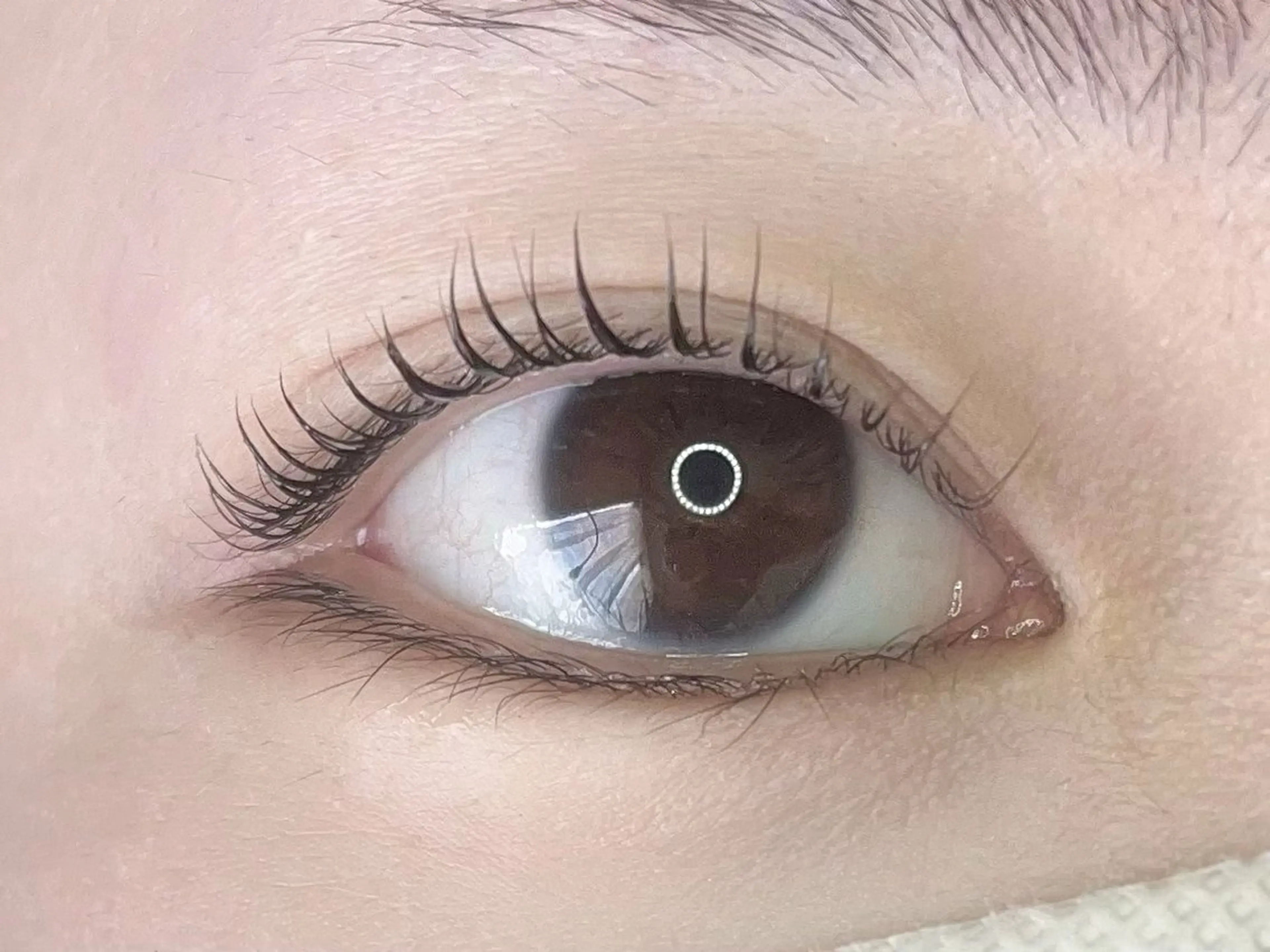 マツエク・マツパ マツパ 🍬🍭Ruru Nanami🍭🍬のマツエク・マツパデザイン