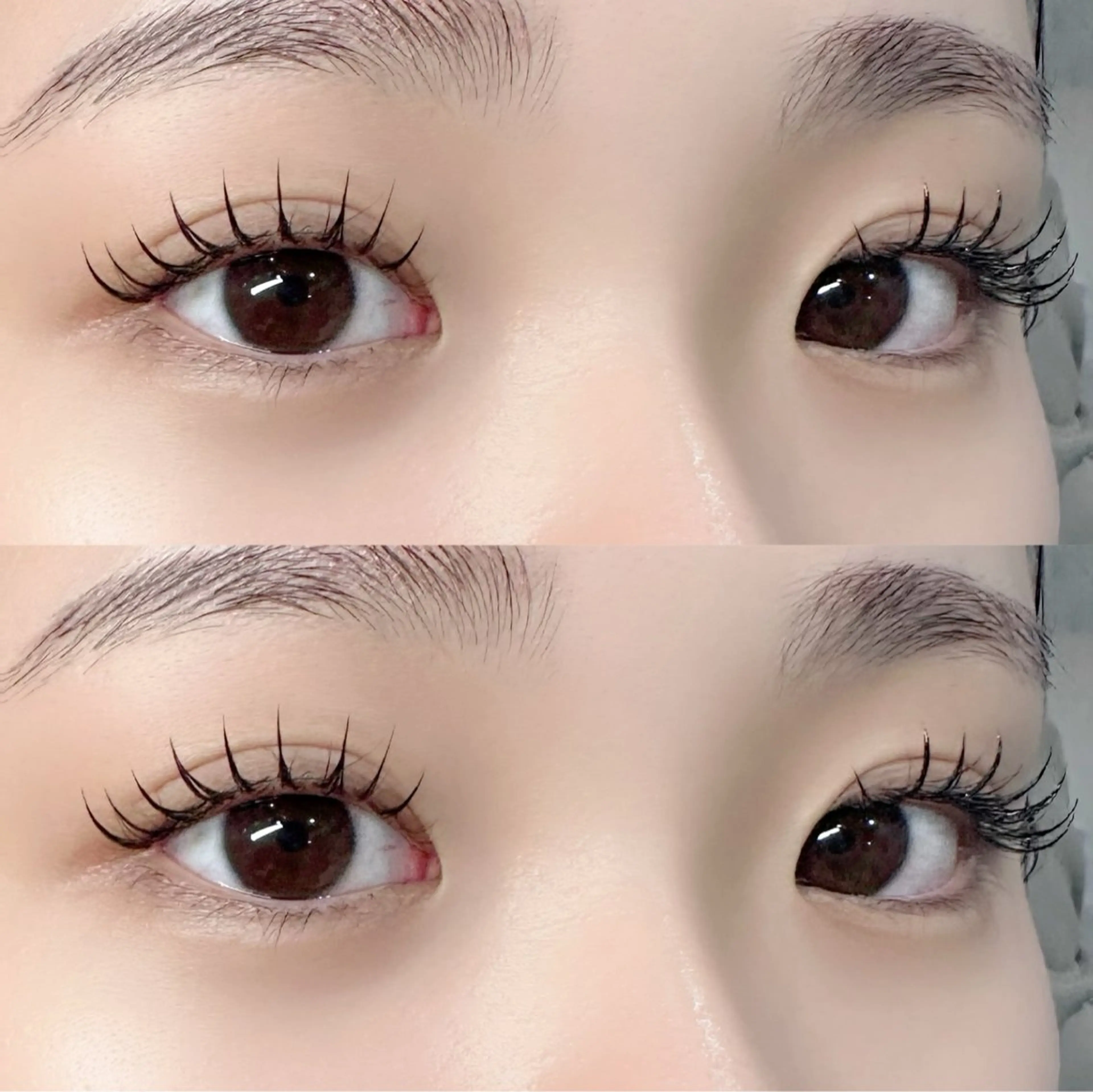 🌹シングルエクステ100本🌹 ナチュラルにパッチリと✨➕500円でフラットにご変更可◎の写真