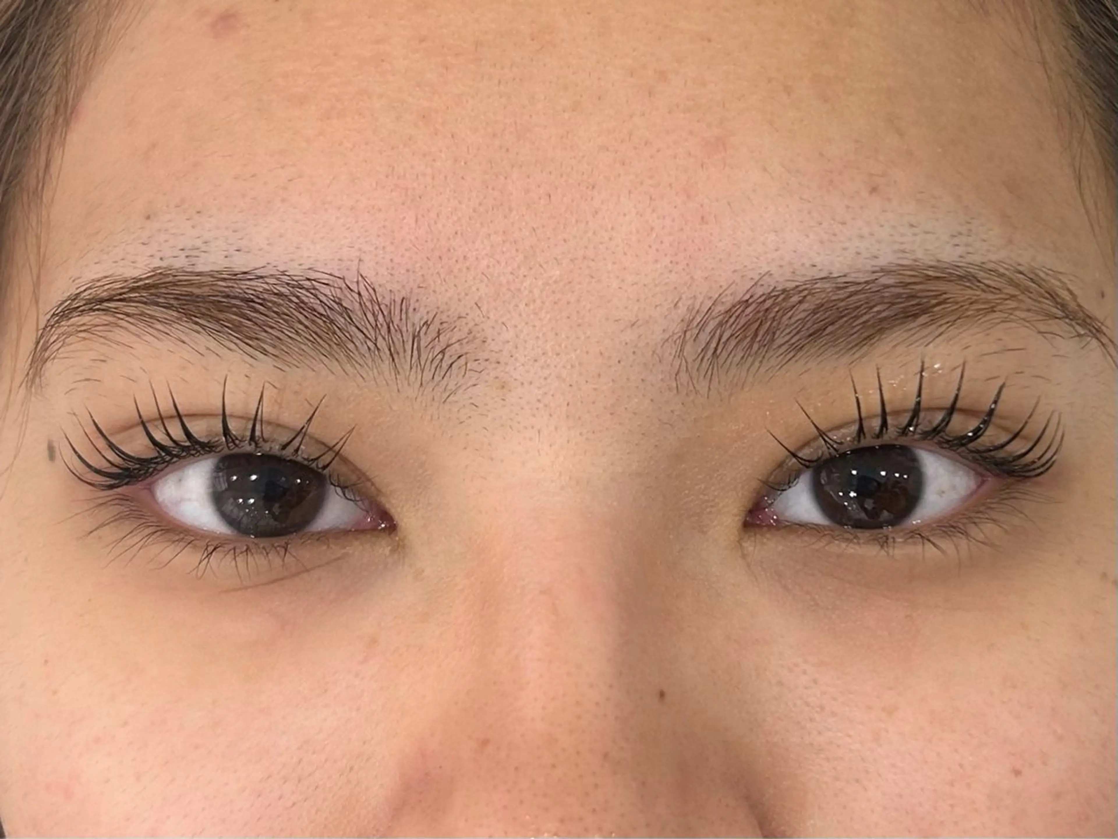 マツエク・マツパ 1日限定2名🦋💎 条件必読❗️のマツエク・マツパデザイン