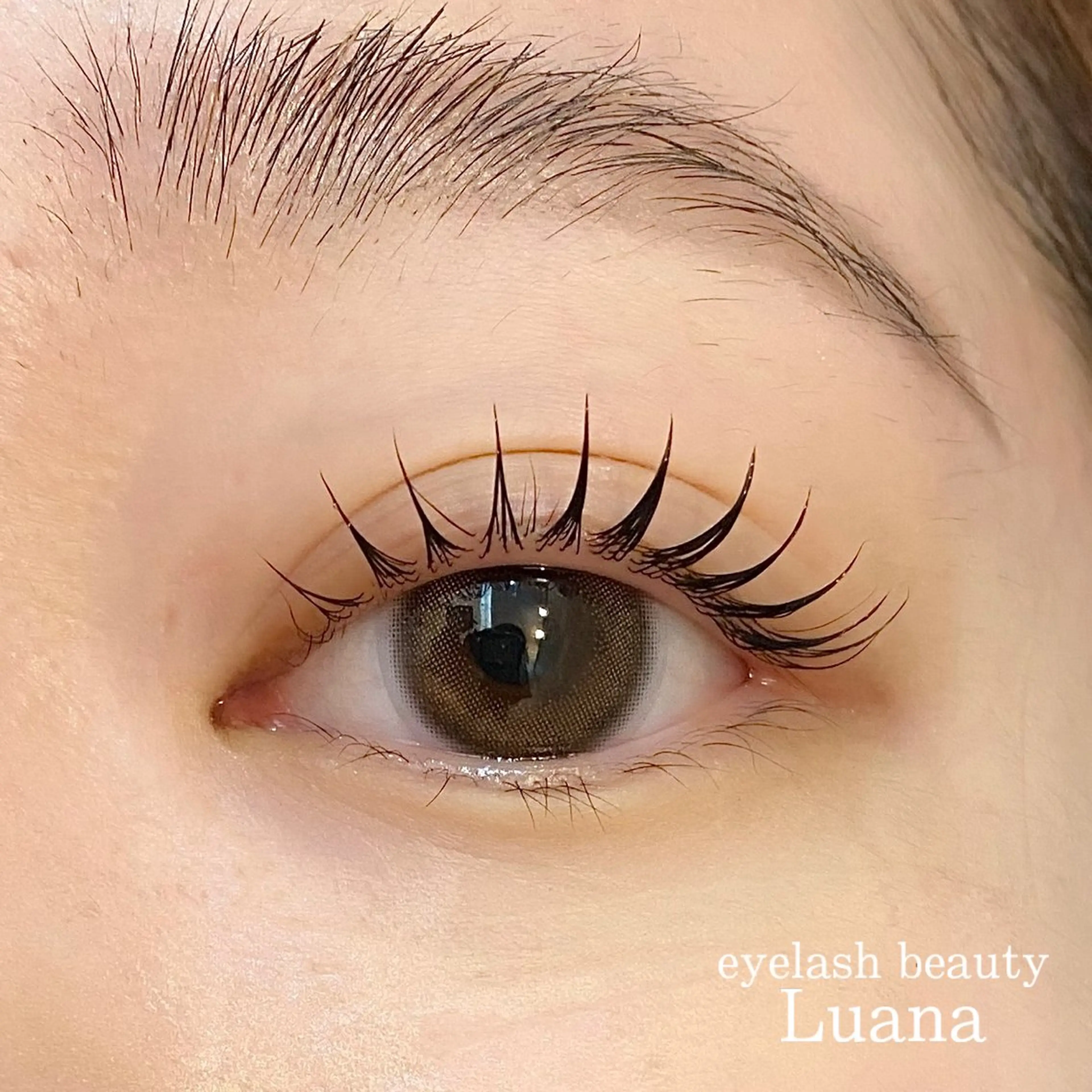 マツエク・マツパ 一重×まつ毛パーマ マツパ eyelash beauty Luana所属・🌺Luana🐬 yukariのマツエク・マツパデザイン