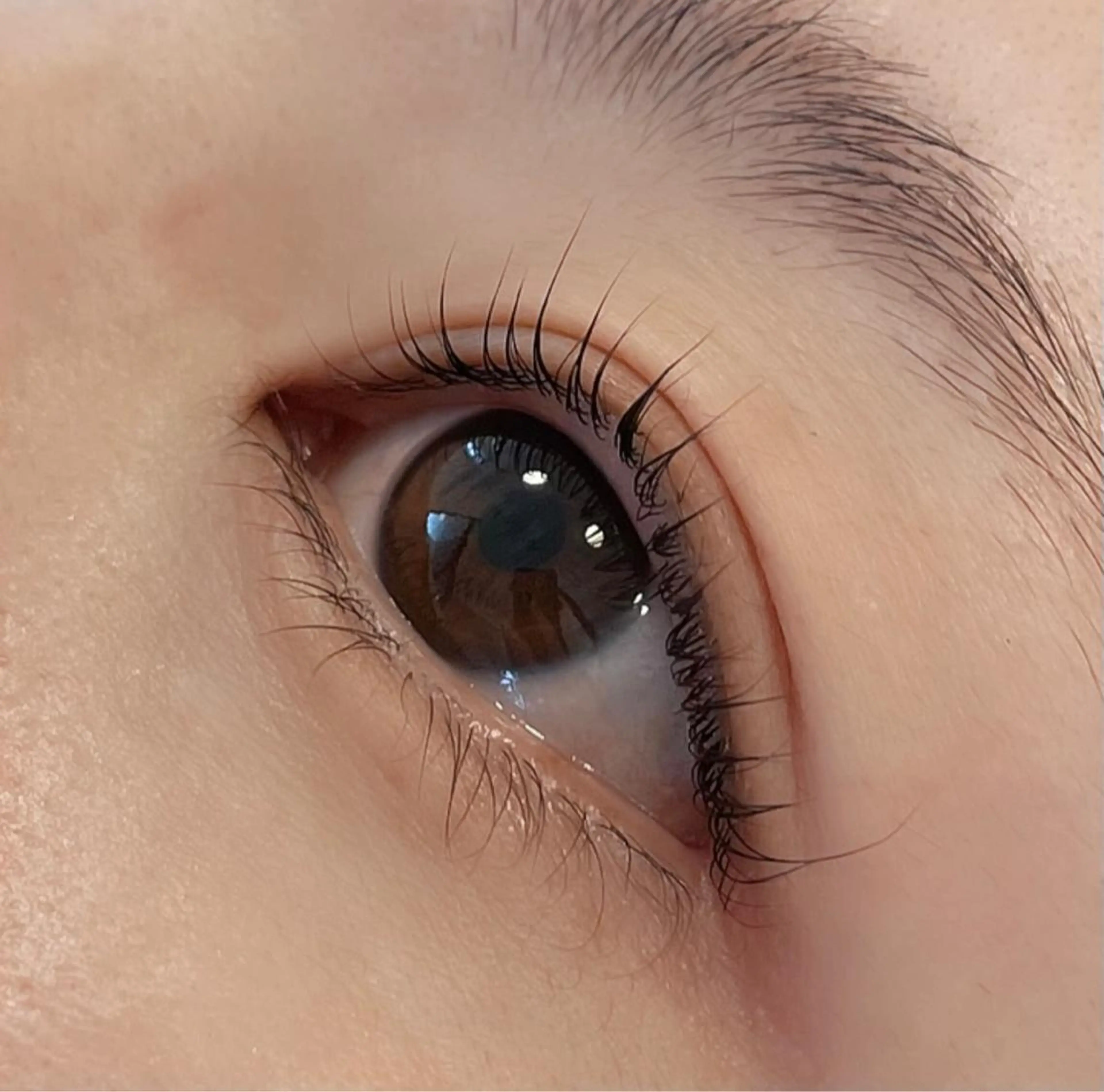 マツエク・マツパ パリジェンヌラッシュリフト Favori 中村のマツエク・マツパデザイン