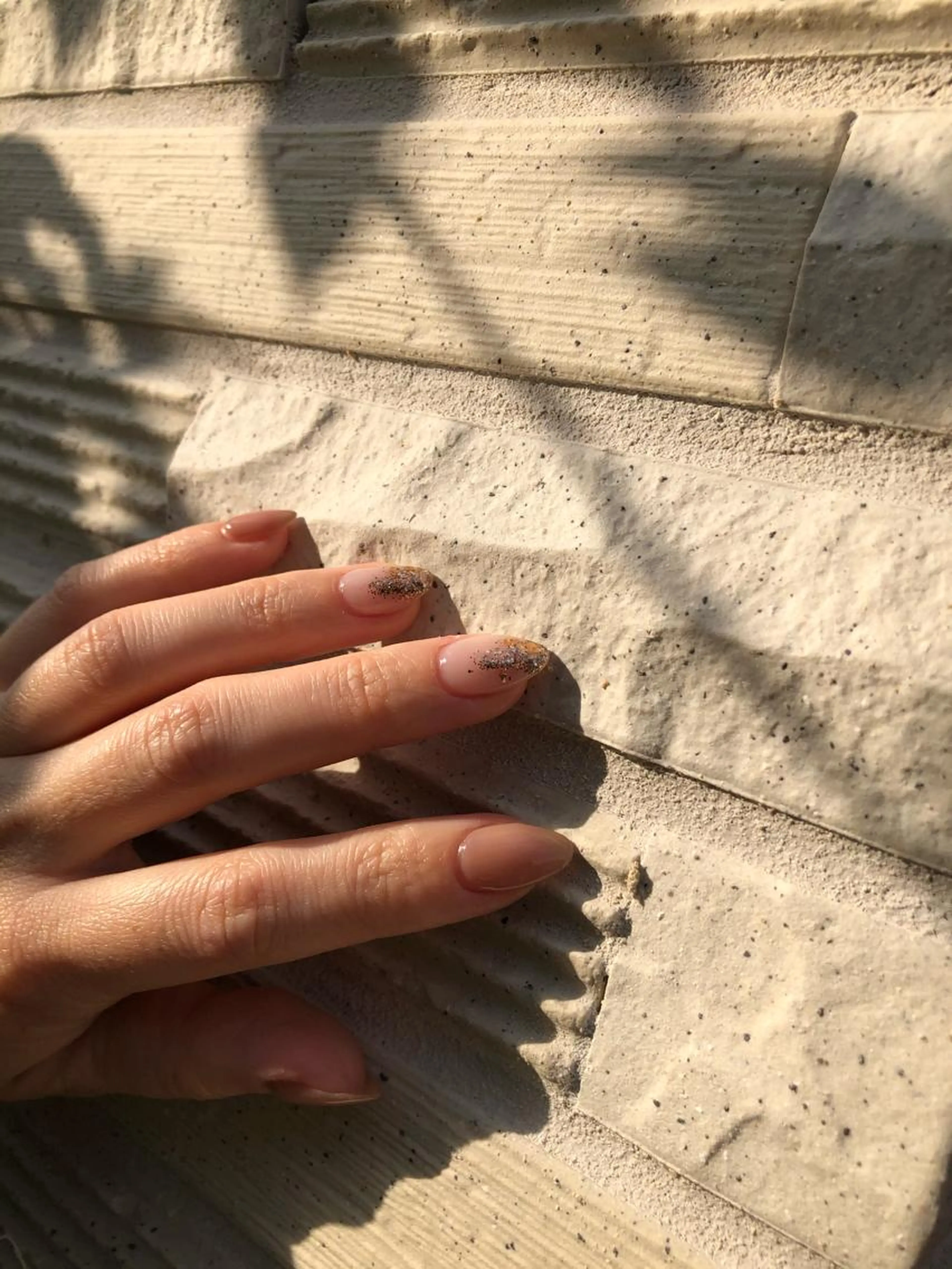 お任せcourseの写真