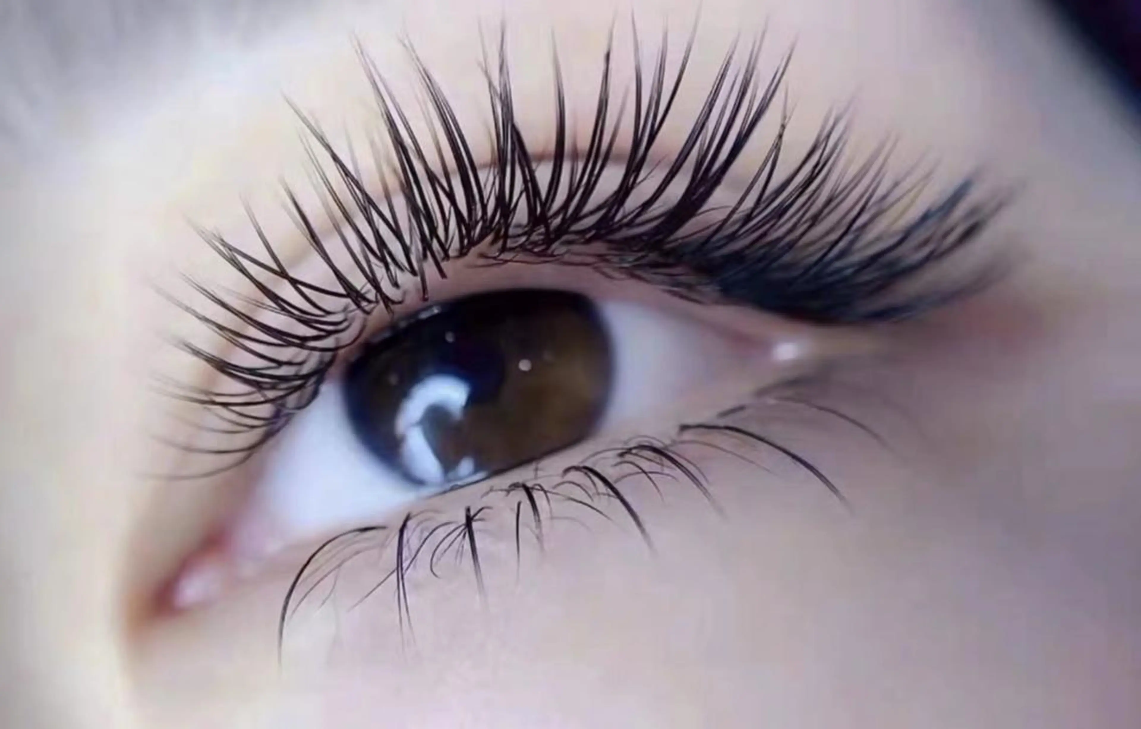 マツエク・マツパ マツエク An beauty2のマツエク・マツパデザイン