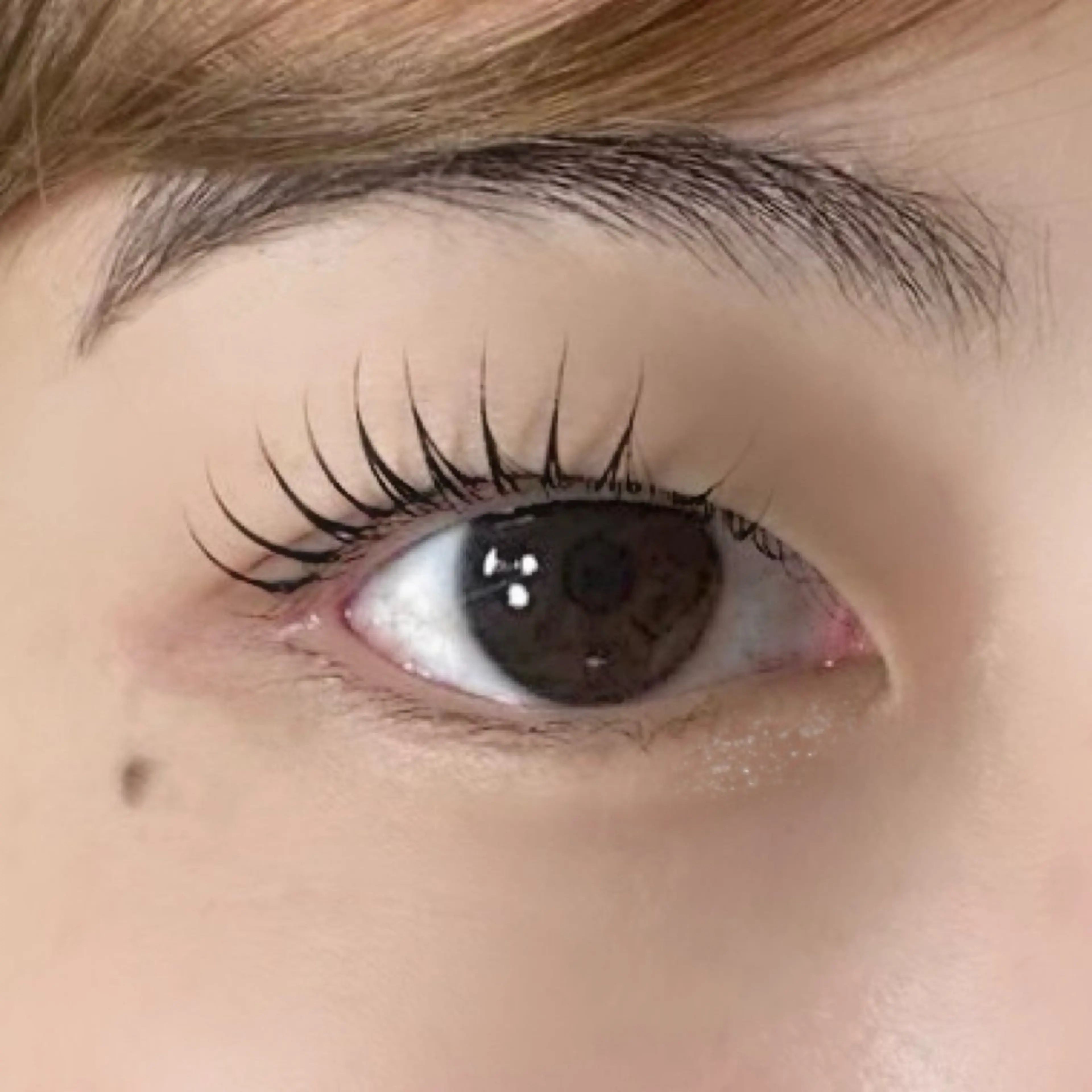 マツエク・マツパ パリジェンヌラッシュリフト マツパ マリーテレジア ITO.mのマツエク・マツパデザイン