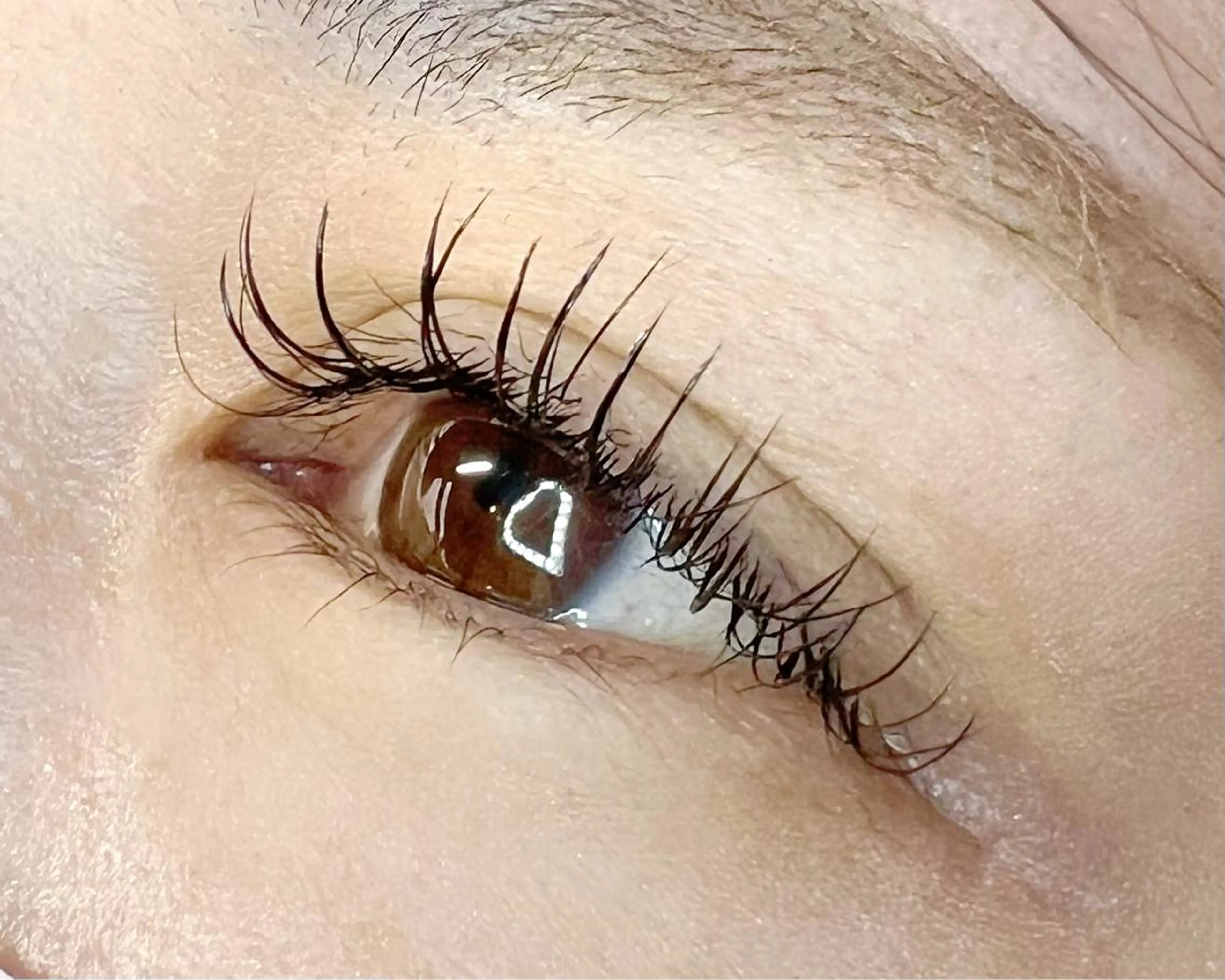 マツエク・マツパ フラットラッシュ マツエク Celeste Venus所属・🧸Celeste Venusのマツエク・マツパデザイン