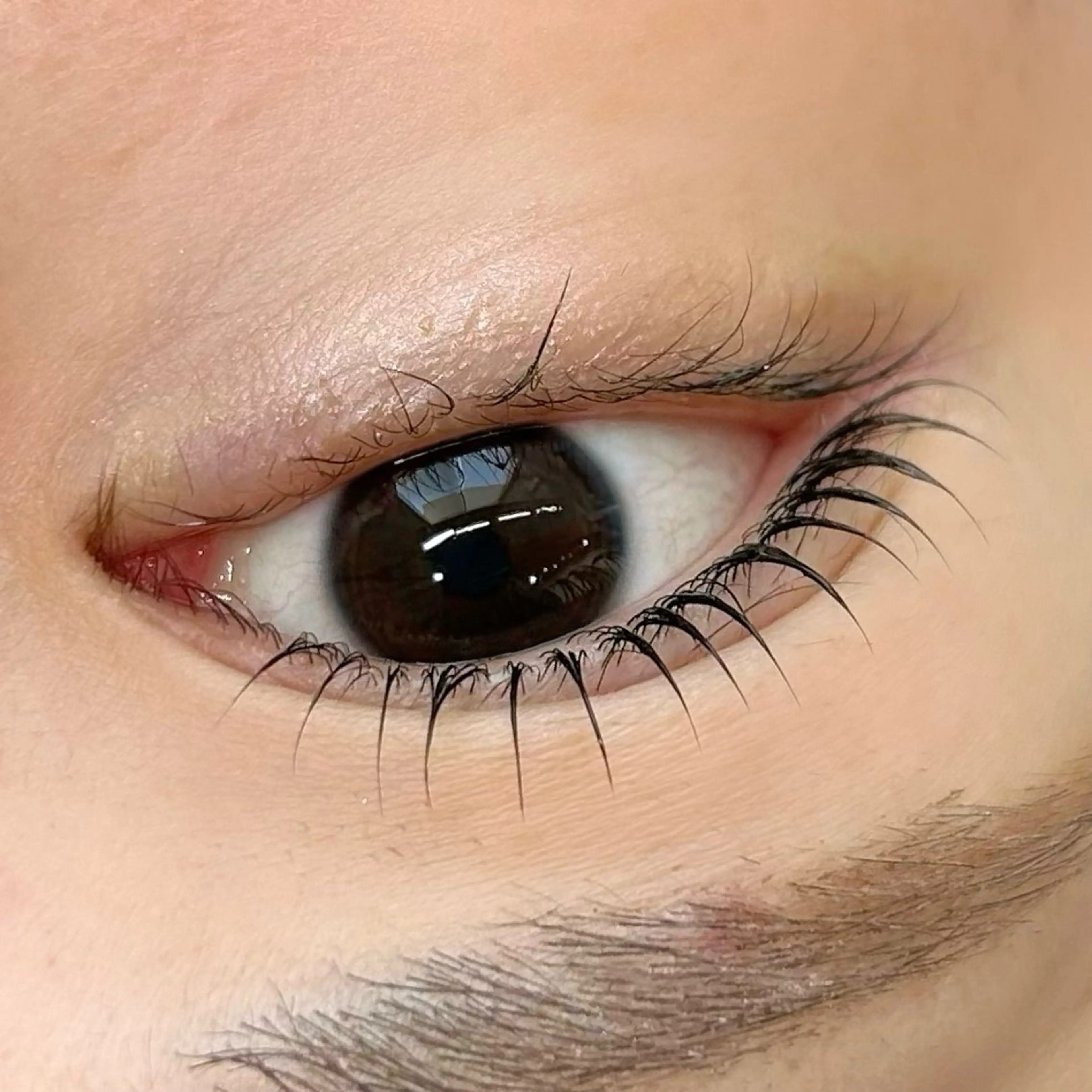 マツエク・マツパ ricony by Ri's所属・練習モデル募集中/ ヤマダエリのマツエク・マツパデザイン