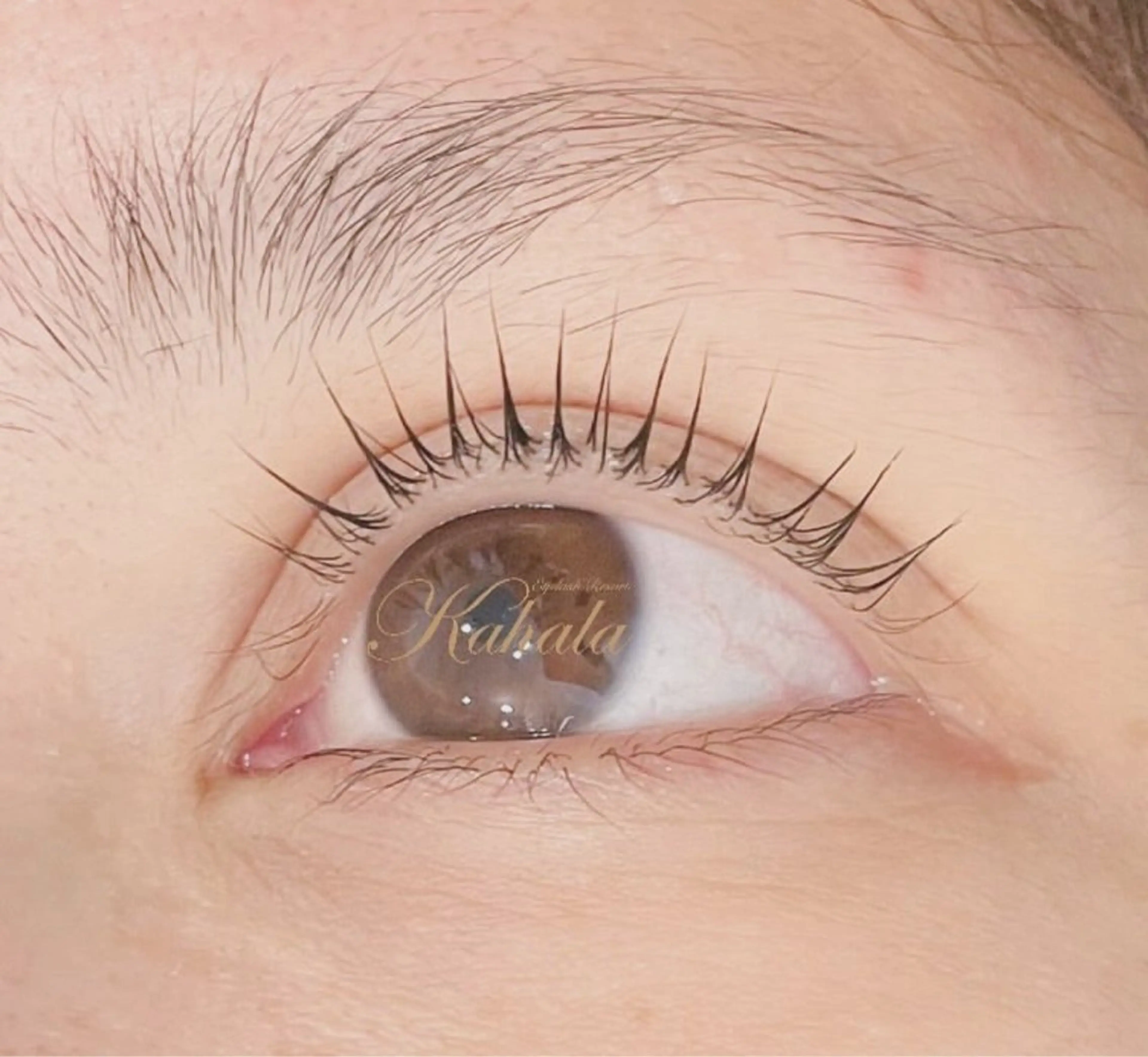マツエク・マツパ パリジェンヌラッシュリフト 眼科監修まつ毛エクステ専門店　アイラッシュリゾートカハラ　大森店所属・Kahala  大森 Kuroda🎶のマツエク・マツパデザイン