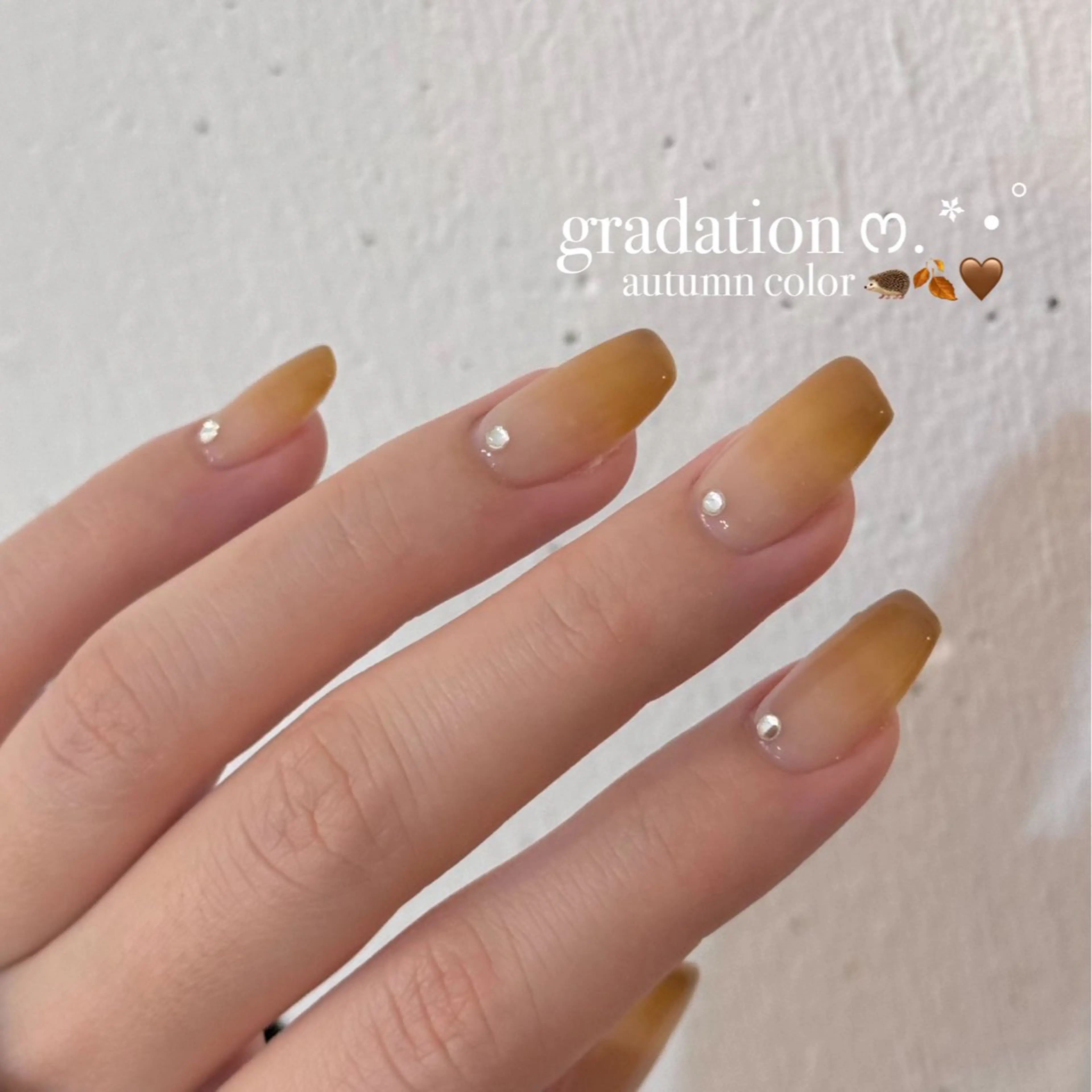 アプレ(チップ長さ出し) 🎀 グラデーション【オフ有】の写真