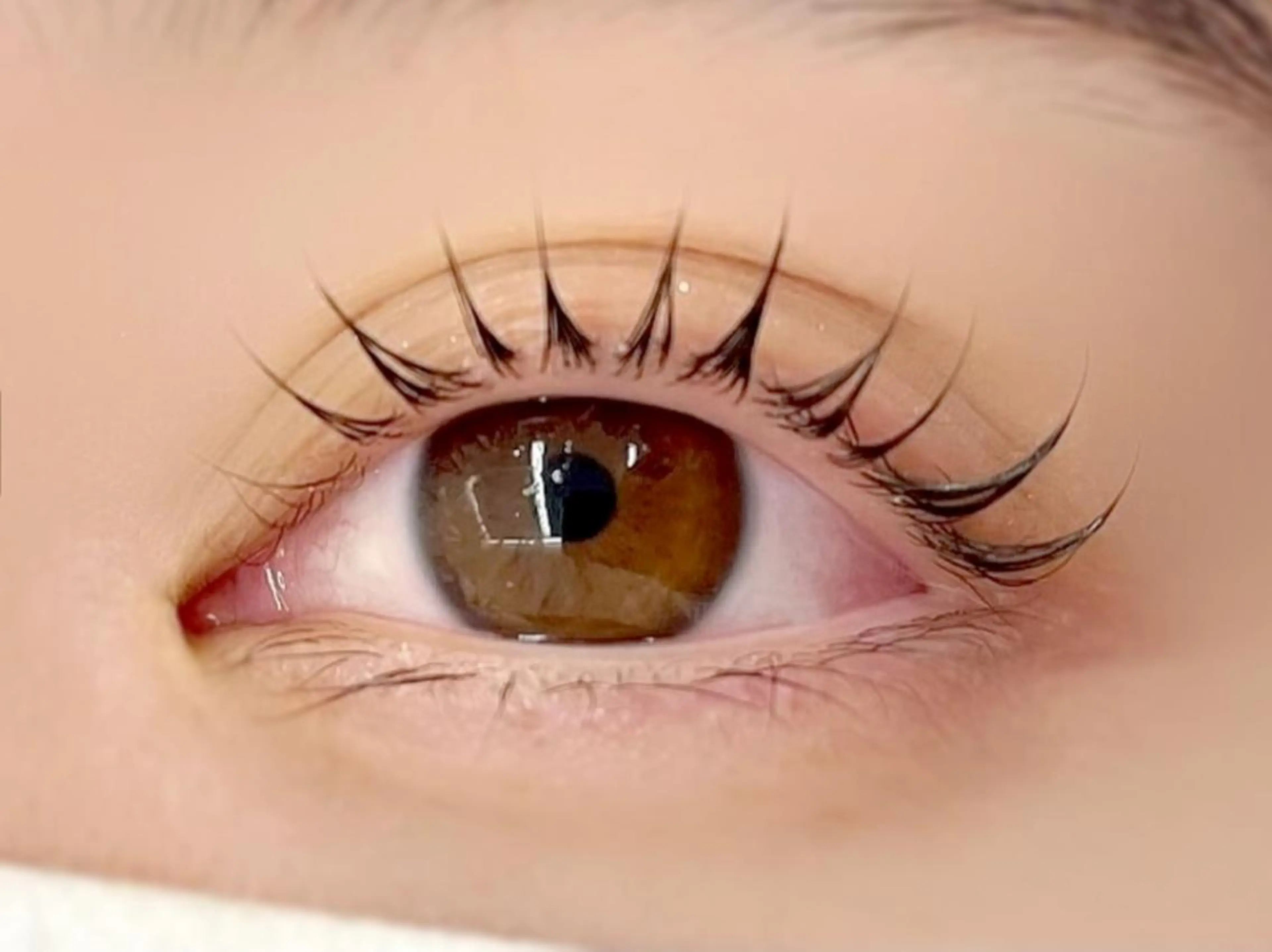 韓国風 束感まつ毛🐻♡の写真