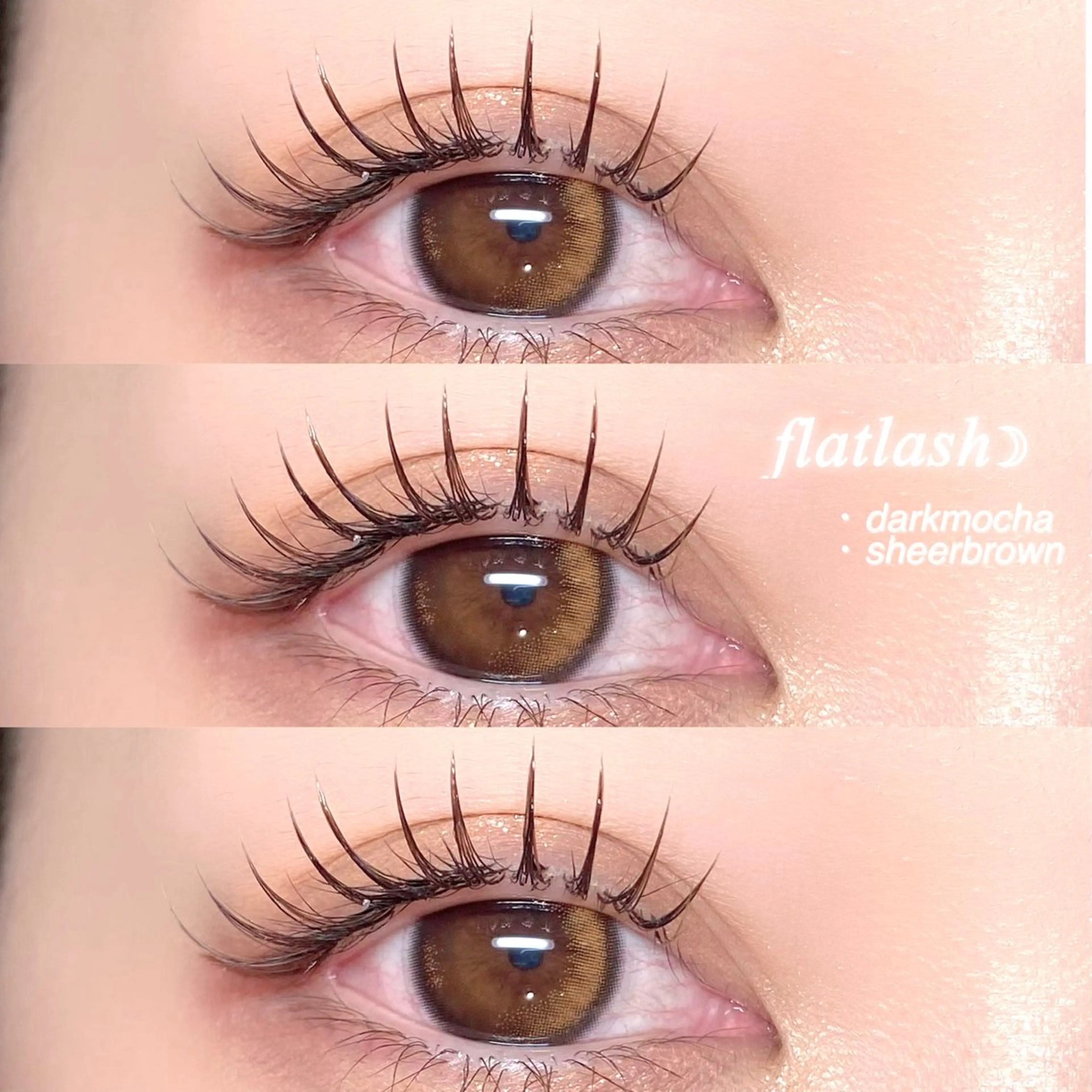 🍇全員【最高品質フラットラッシュカラー】オードリーコレクション付け放題(約160本)の写真