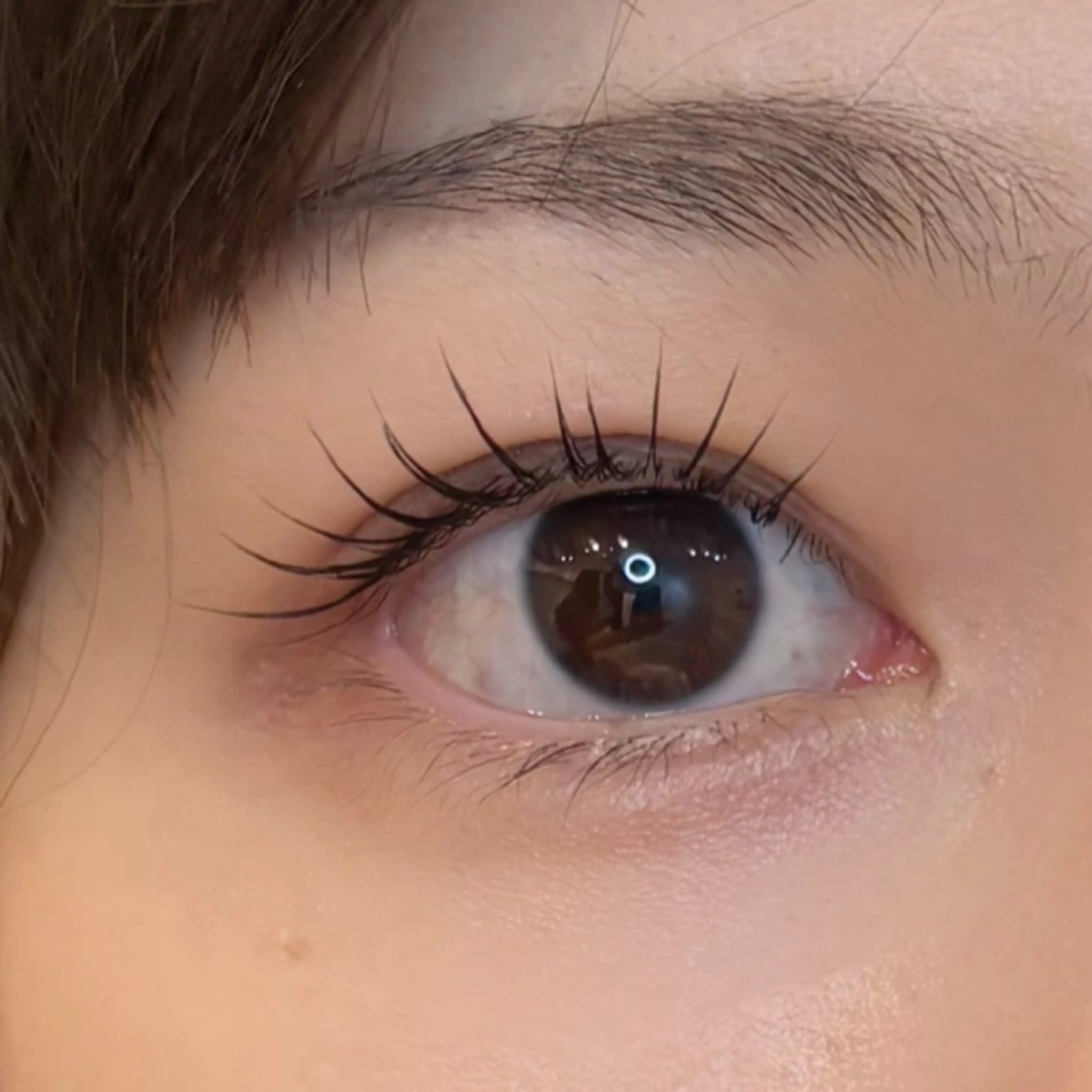 マツエク・マツパ eyelash makiのマツエク・マツパデザイン