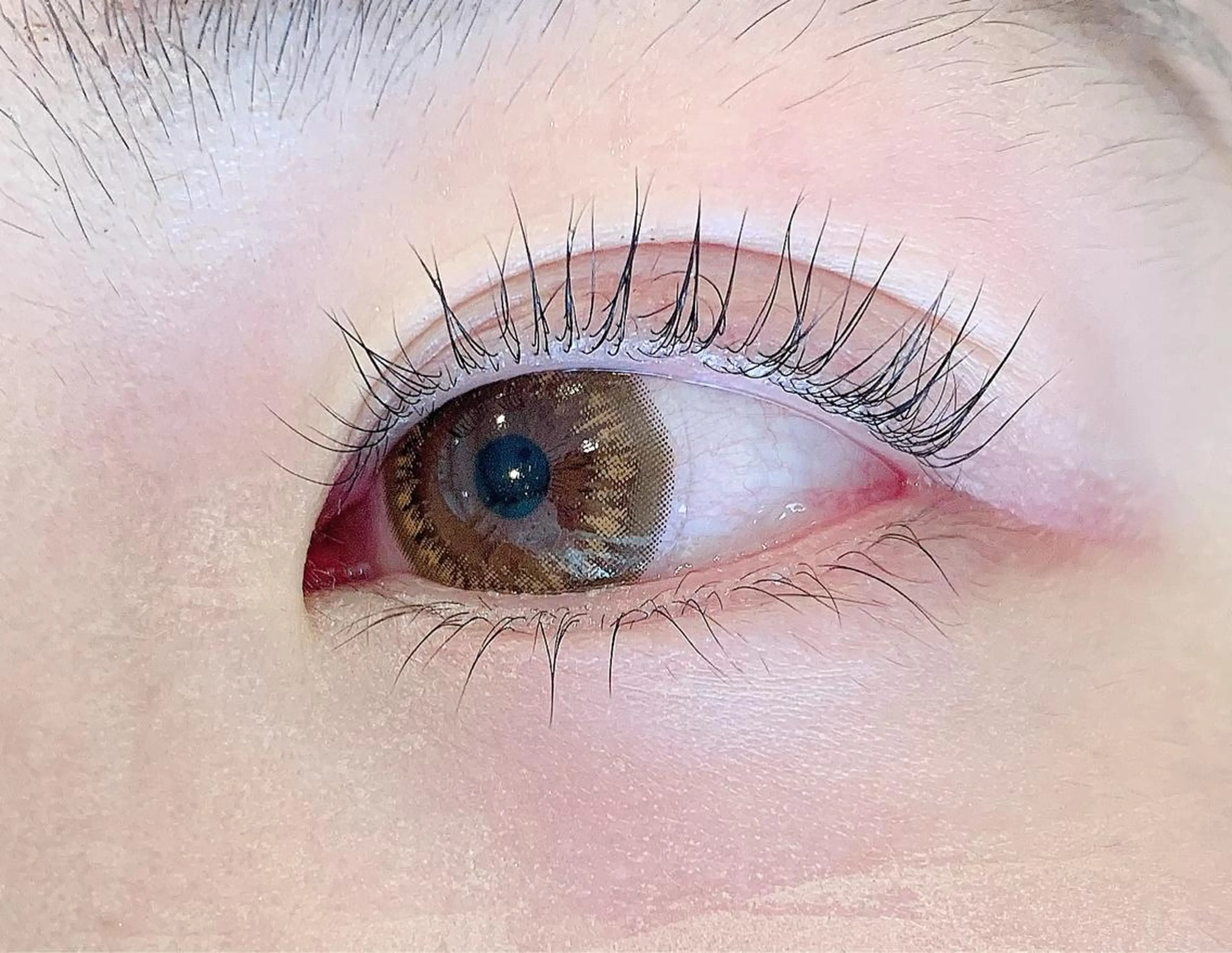 マツエク・マツパ パリジェンヌラッシュリフト Millie ainee 店長　神のマツエク・マツパデザイン