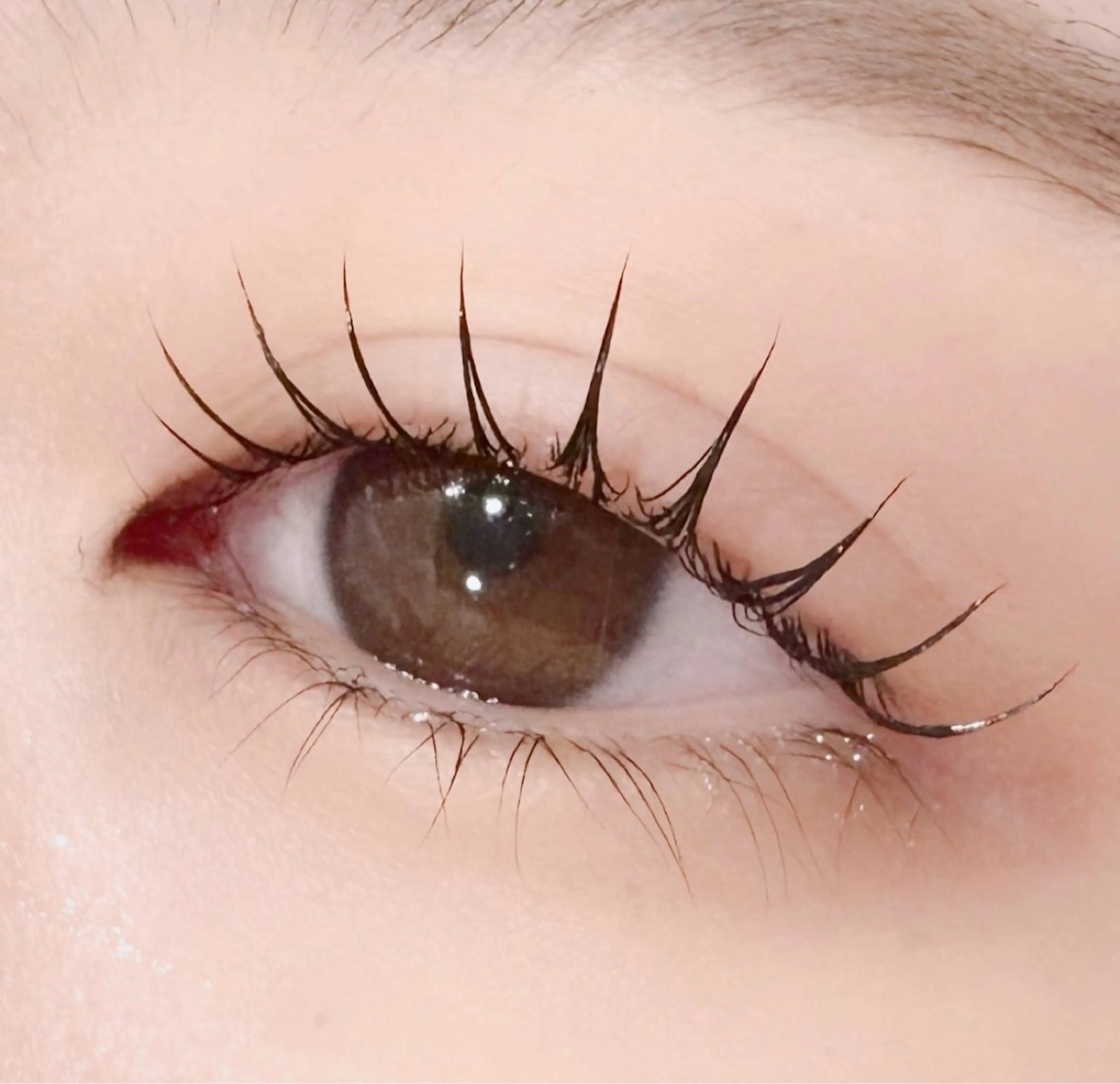 🦋パリジェンヌ🦋美容液コーティングで韓国風仕上げ🤍の写真