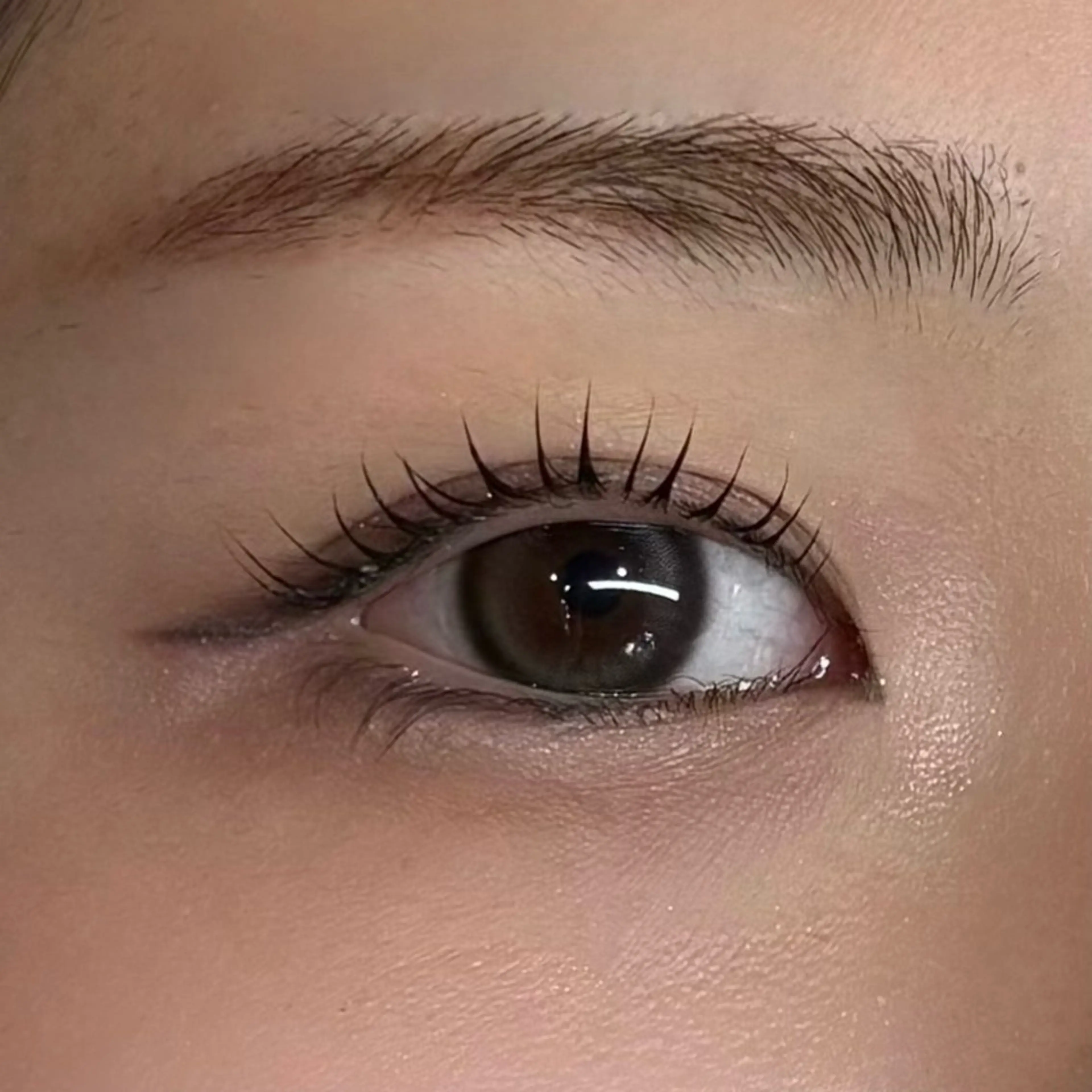 【無料】下まつげパーマの写真