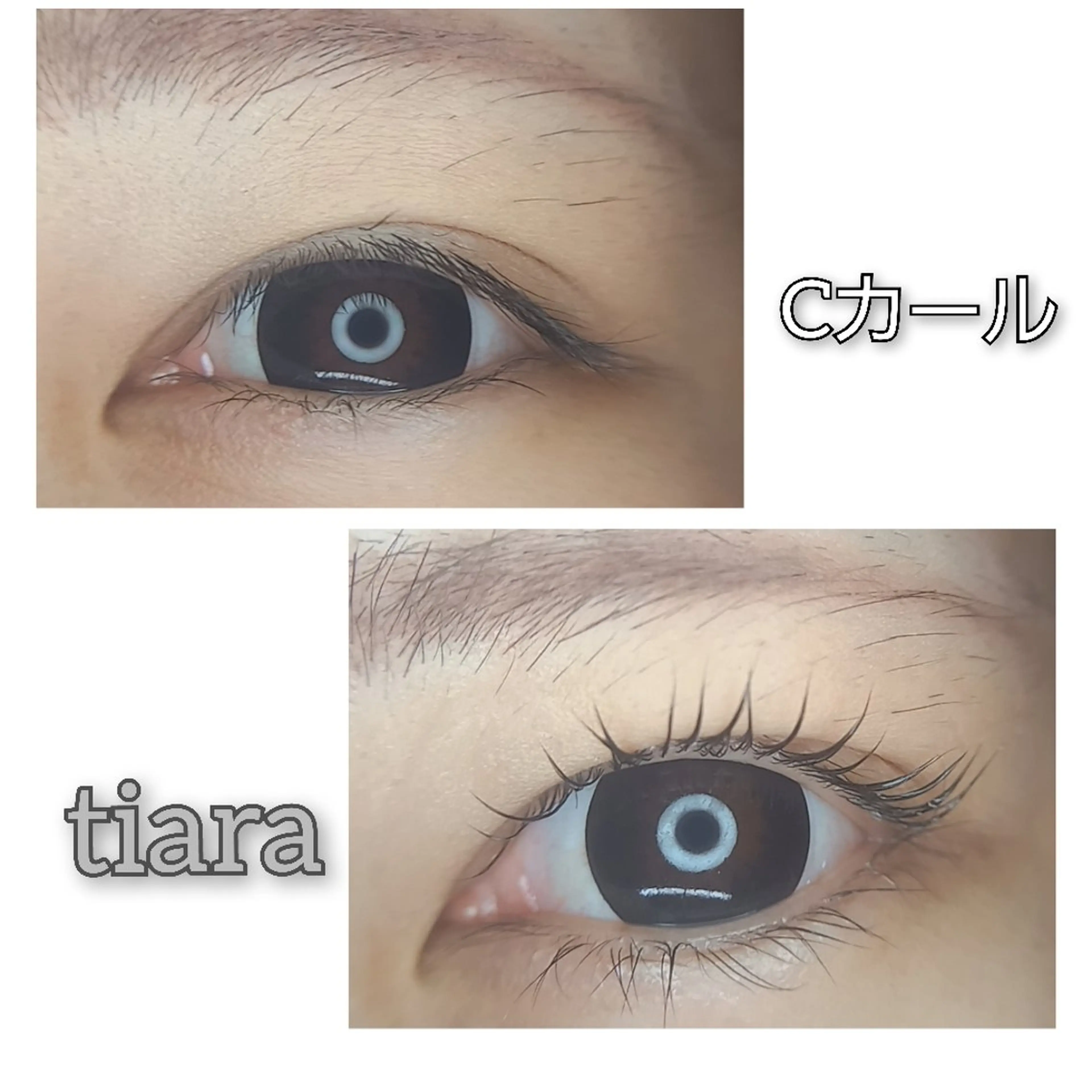 アイブロウ マツパ 💡次世代LED -TIARA💡のマツエク・マツパデザイン