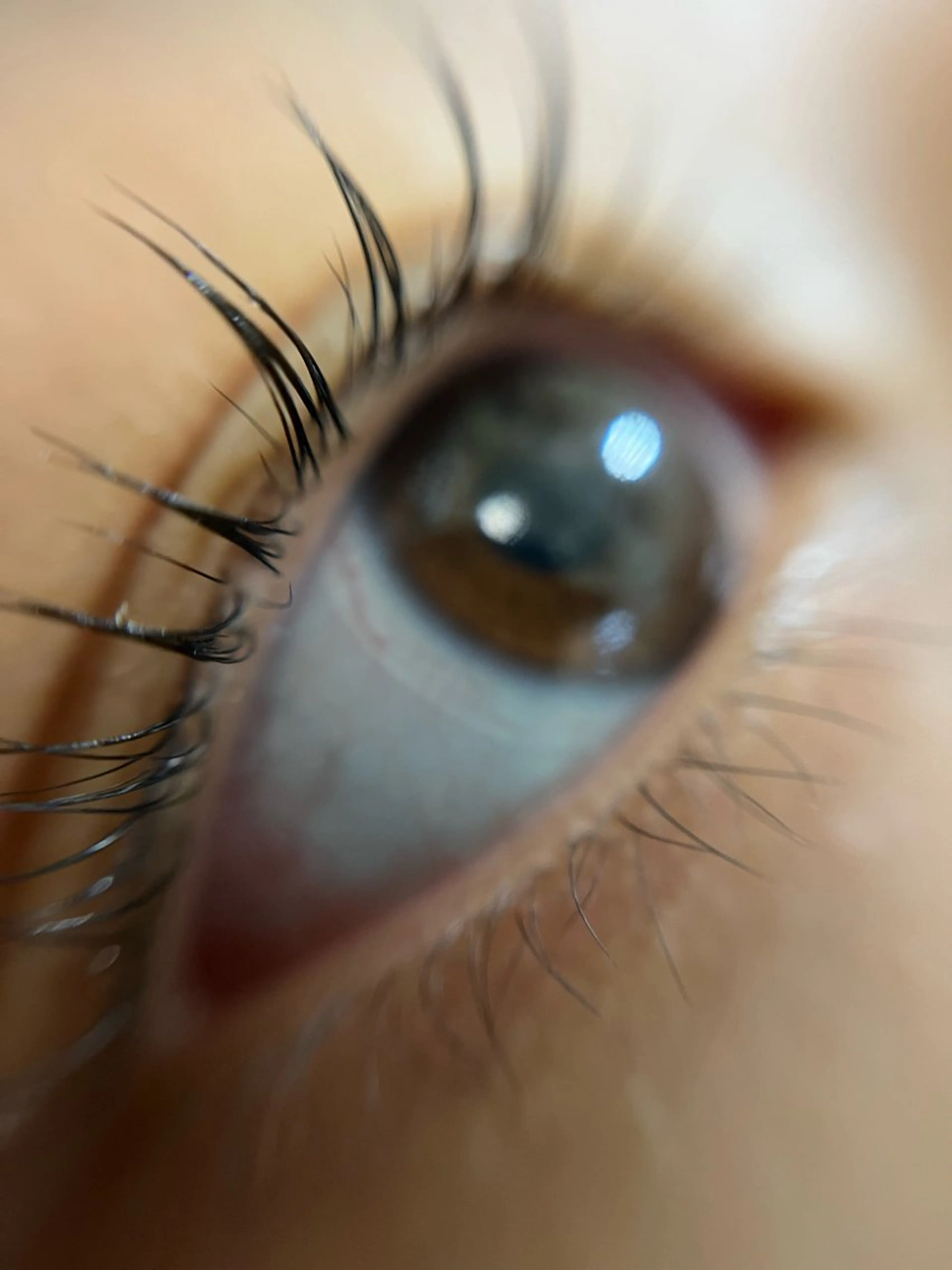 マツエク・マツパ 華恋🪼 《 Blink🪻》のその他イメージ