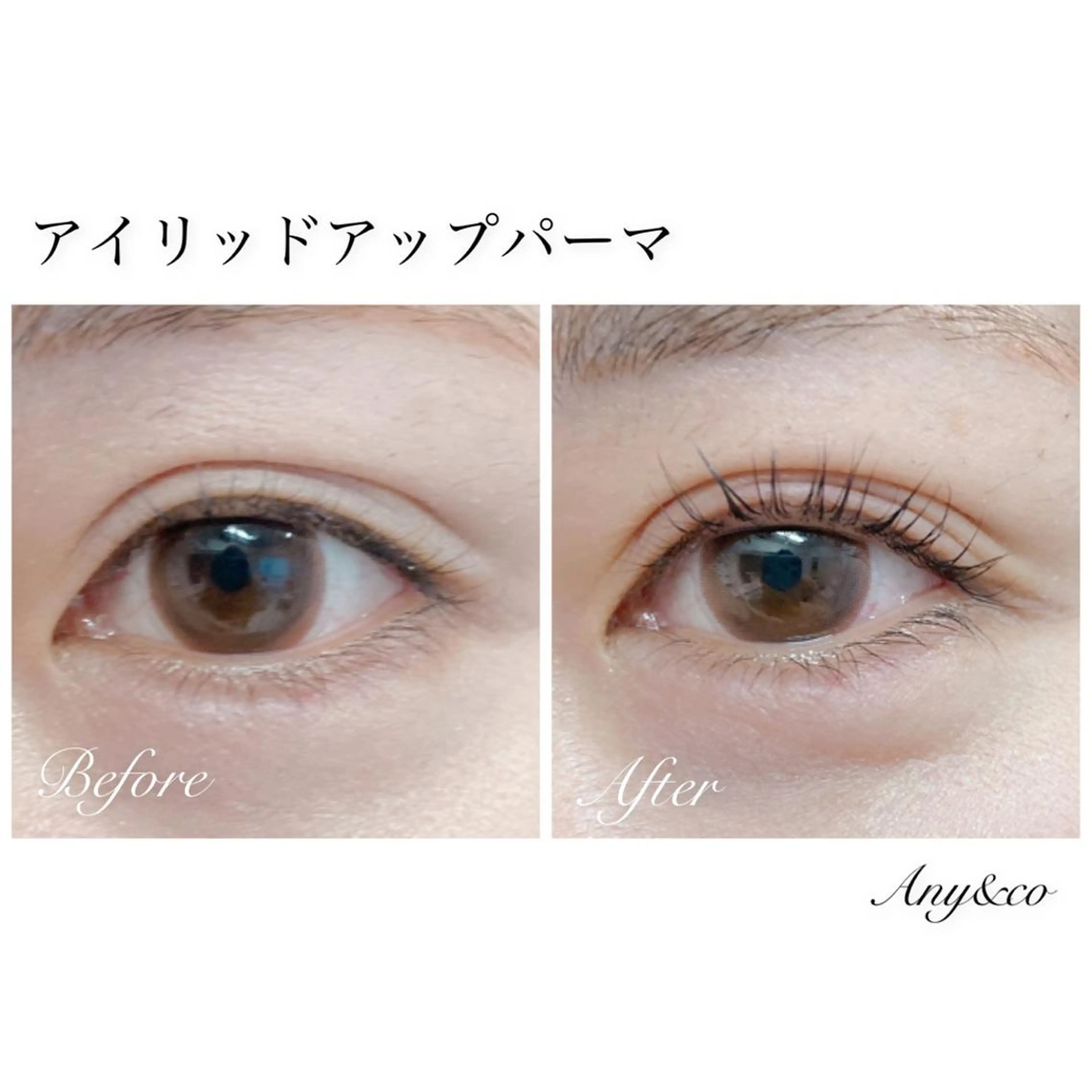 マツエク・マツパ アイリッドアップパーマ Any&co 【エニコ】のマツエク・マツパデザイン