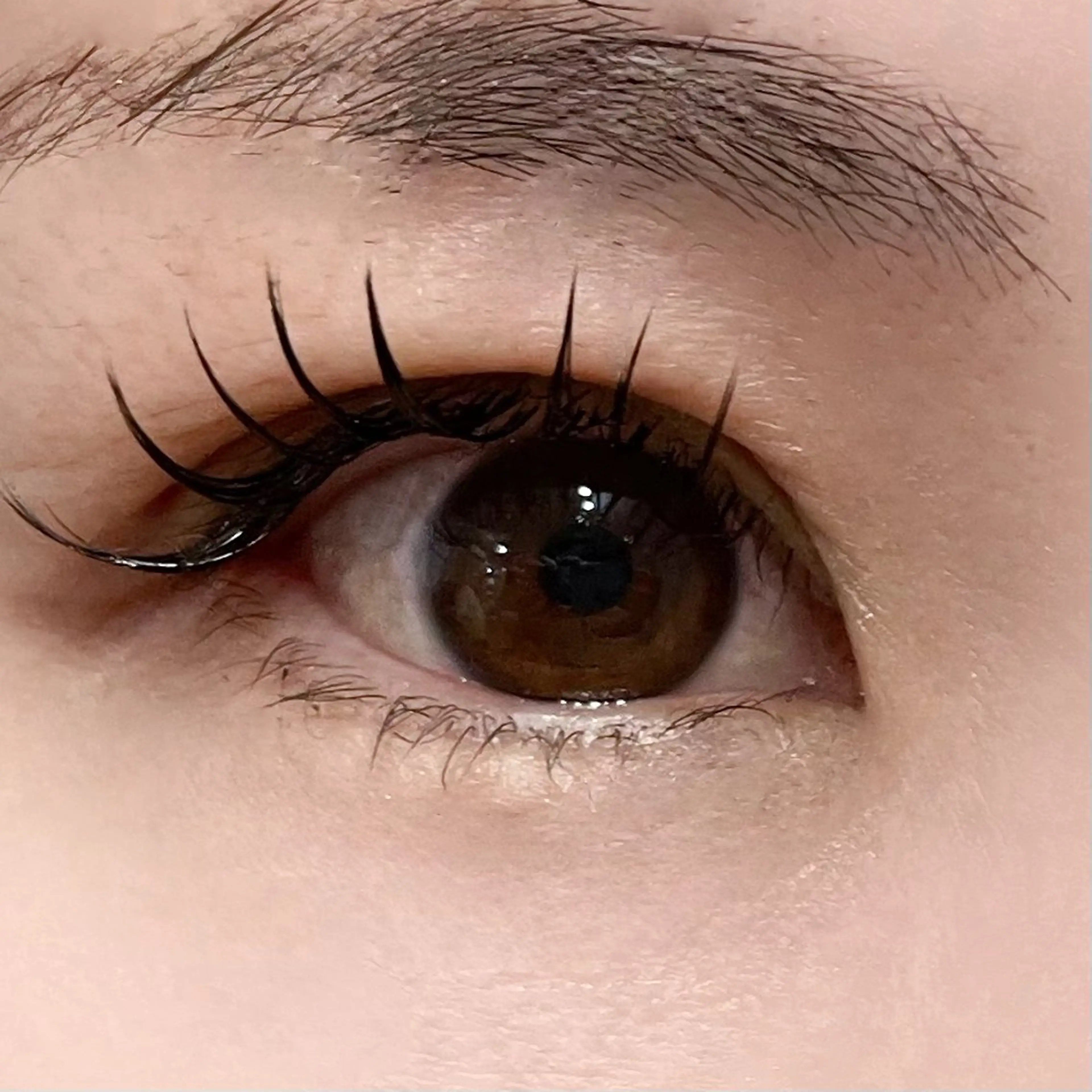 マツエク・マツパ Froom🎀 hinata⋆⭒˚｡のマツエク・マツパデザイン