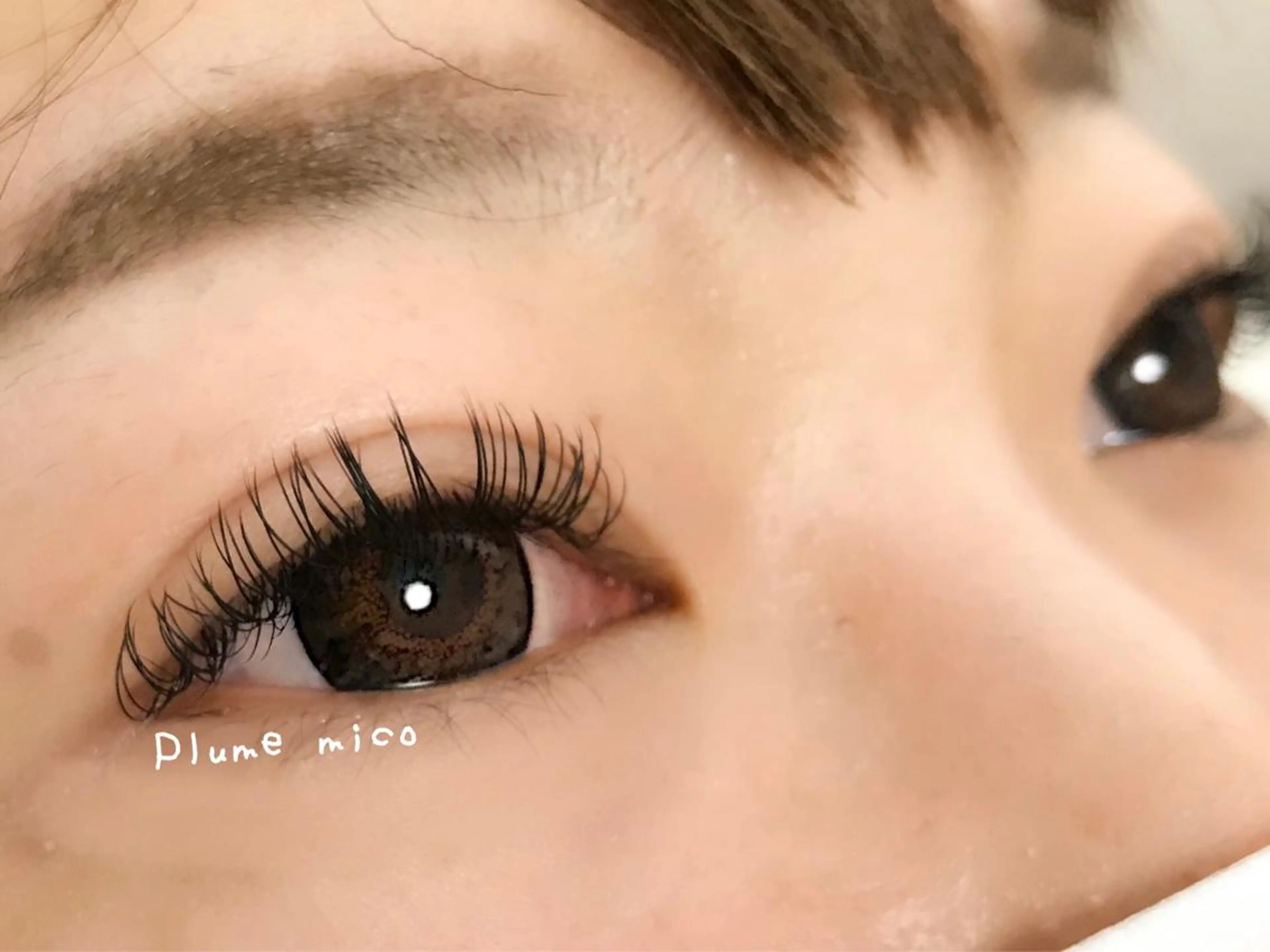 マツエク・マツパ Dカール マツエク Plume micoのマツエク・マツパデザイン