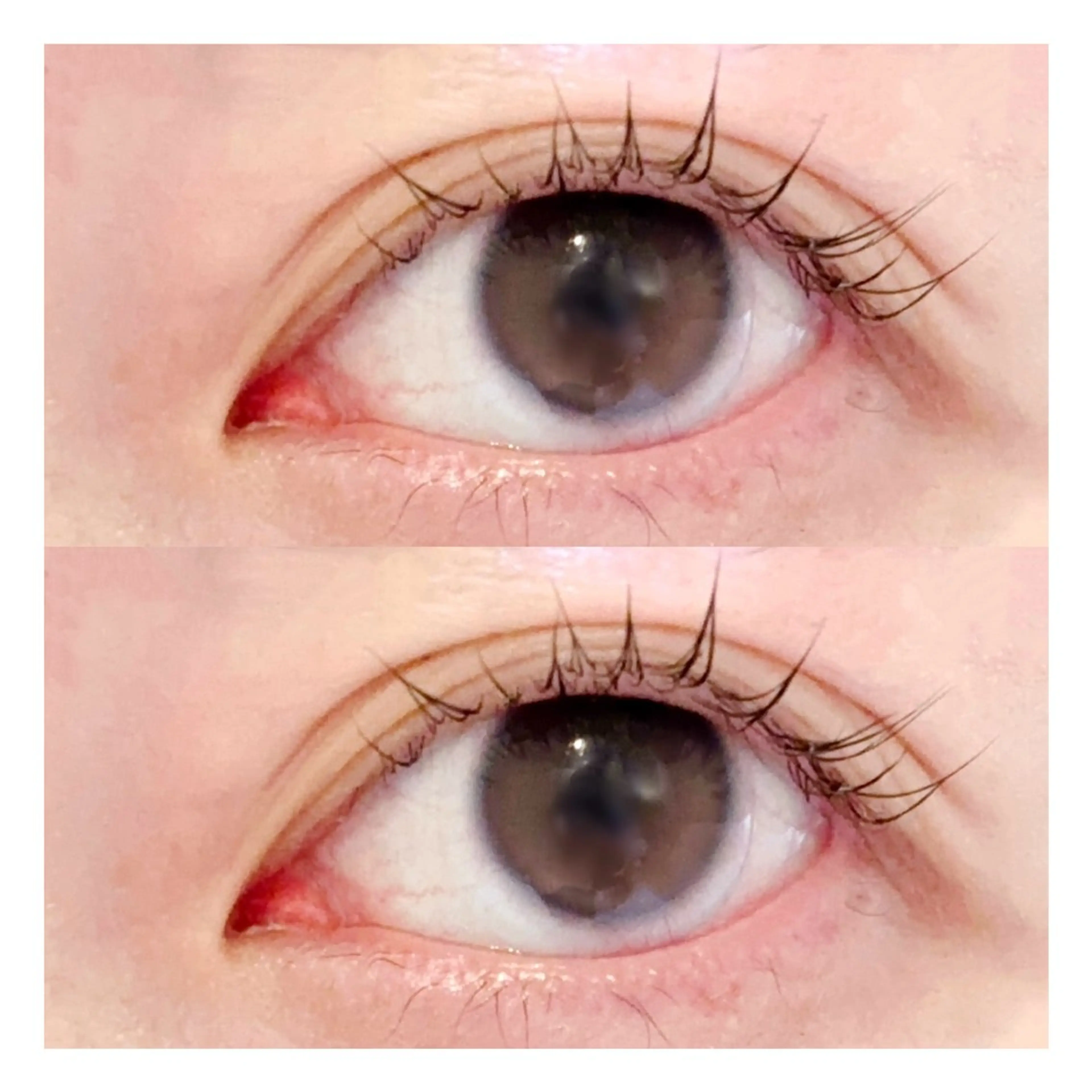 マツエク・マツパ カルフールノア新八柱店所属・🎀 nazuna　🎀の眉毛・アイブロウイメージ