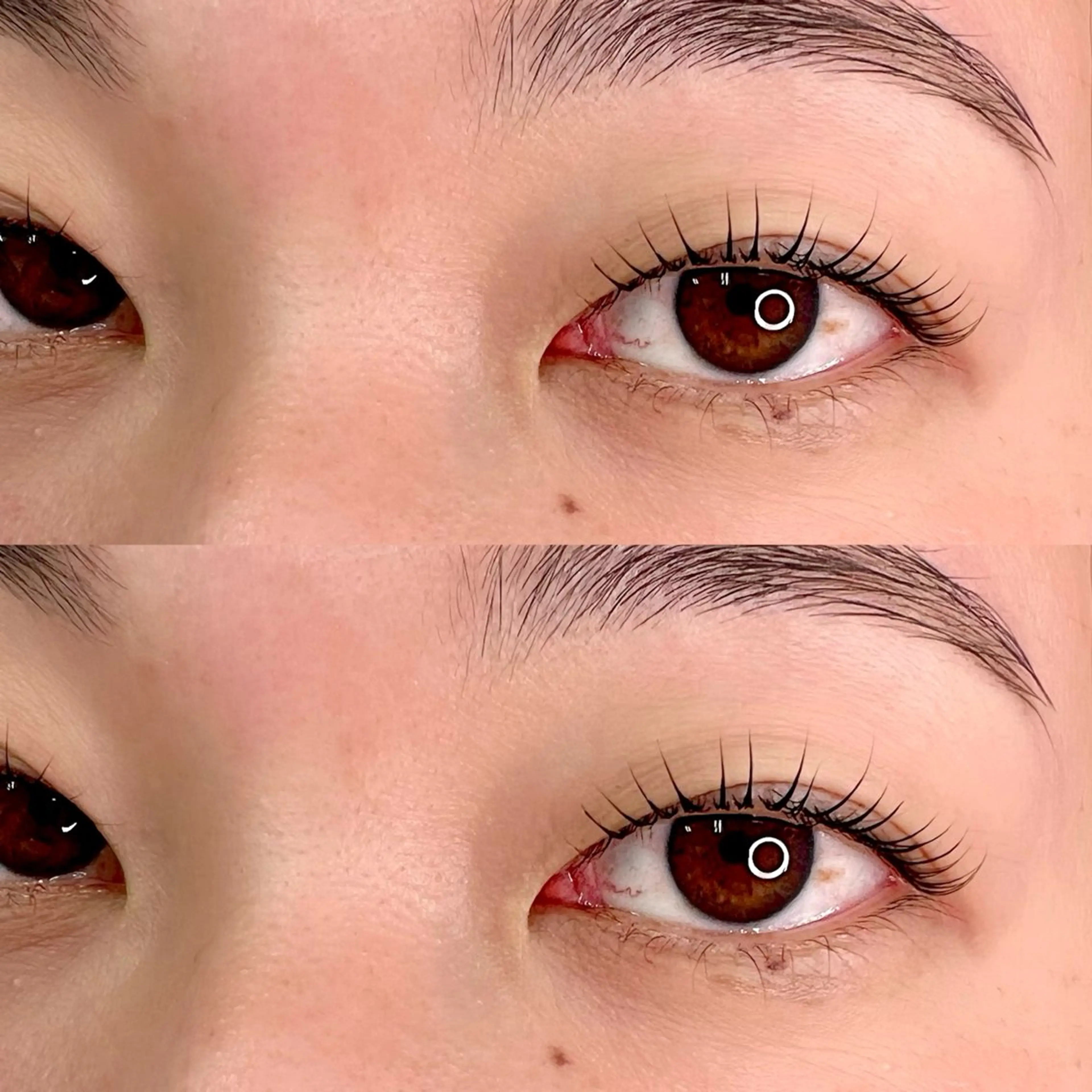 【ダブルトリートメント付💖】まつげパーマの写真