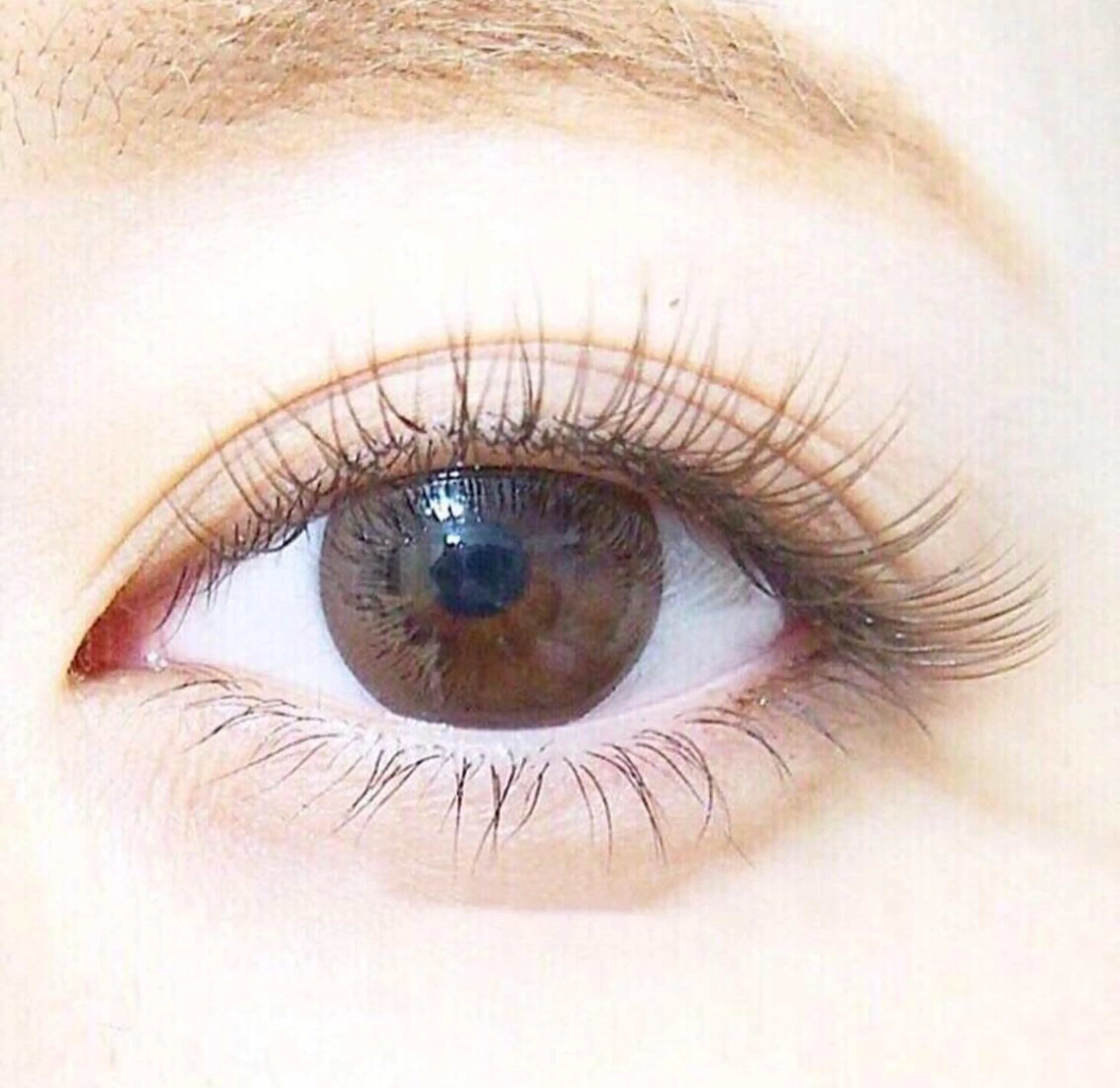 マツエク・マツパ マツエク eyelist Miyazakiのマツエク・マツパデザイン