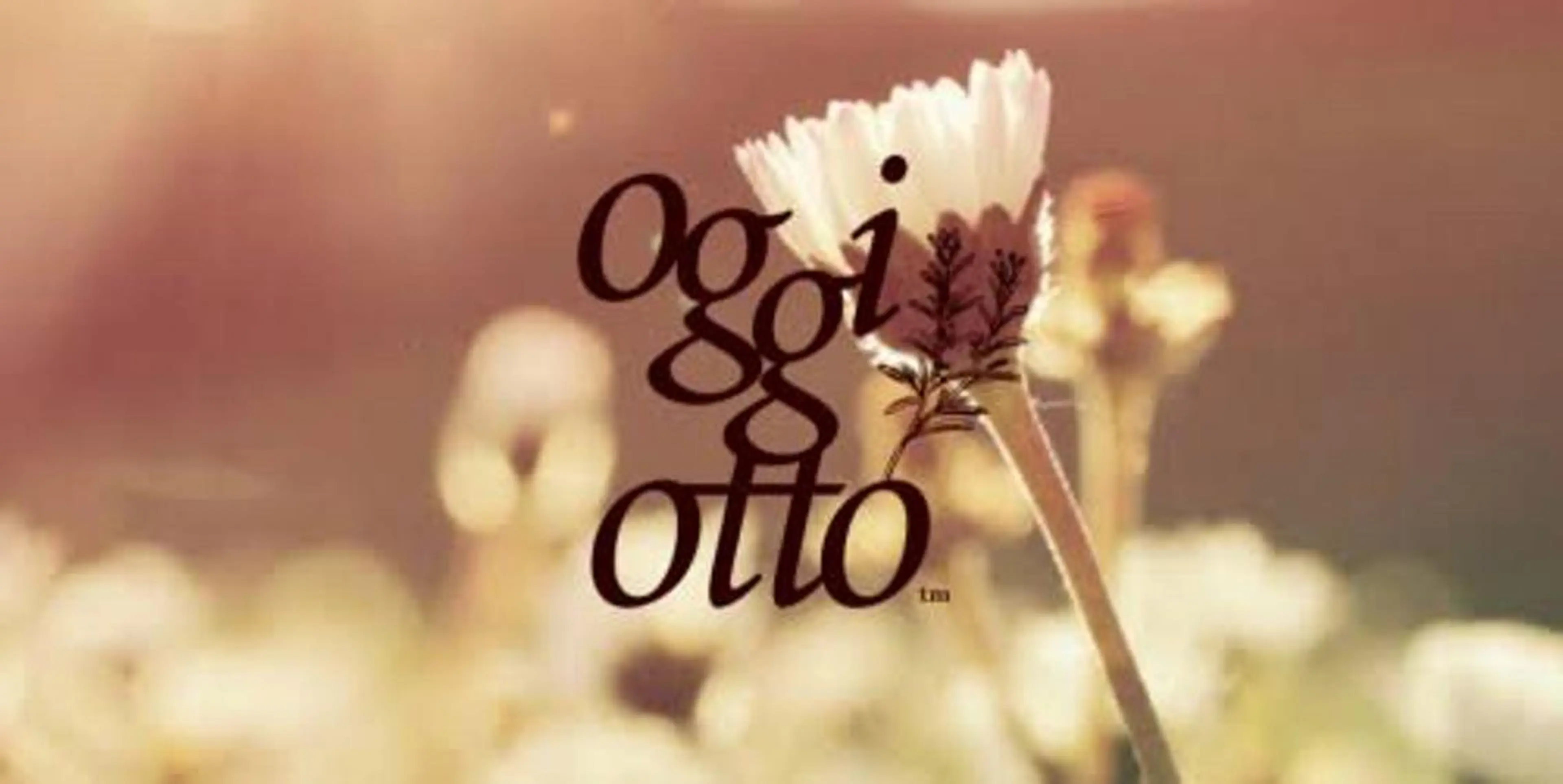 kico home 肥後橋店所属・似合わせレイヤー 阿波座/ふじむらのヘアスタイル