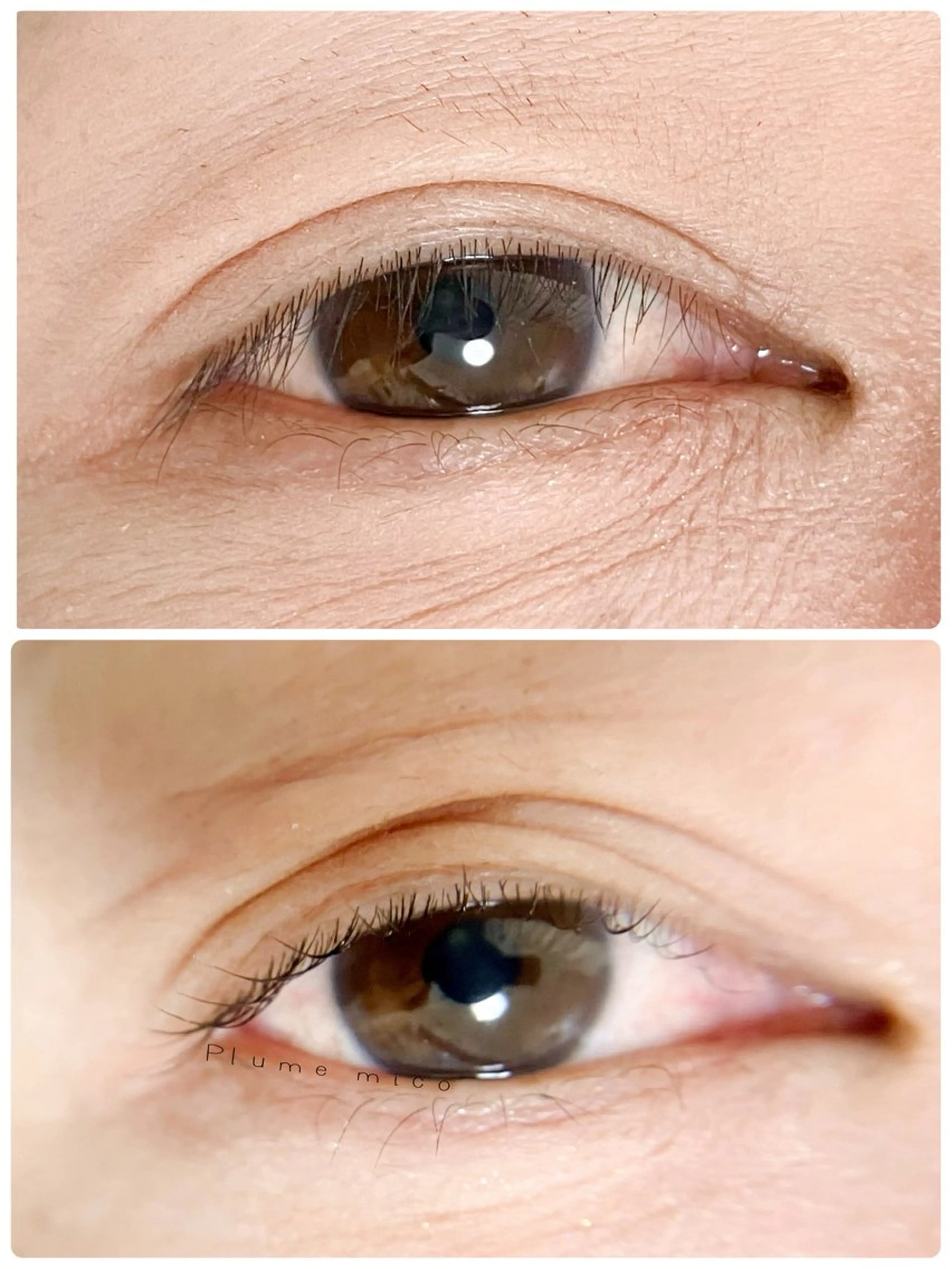 マツエク・マツパ マツパ Plume micoのマツエク・マツパデザイン