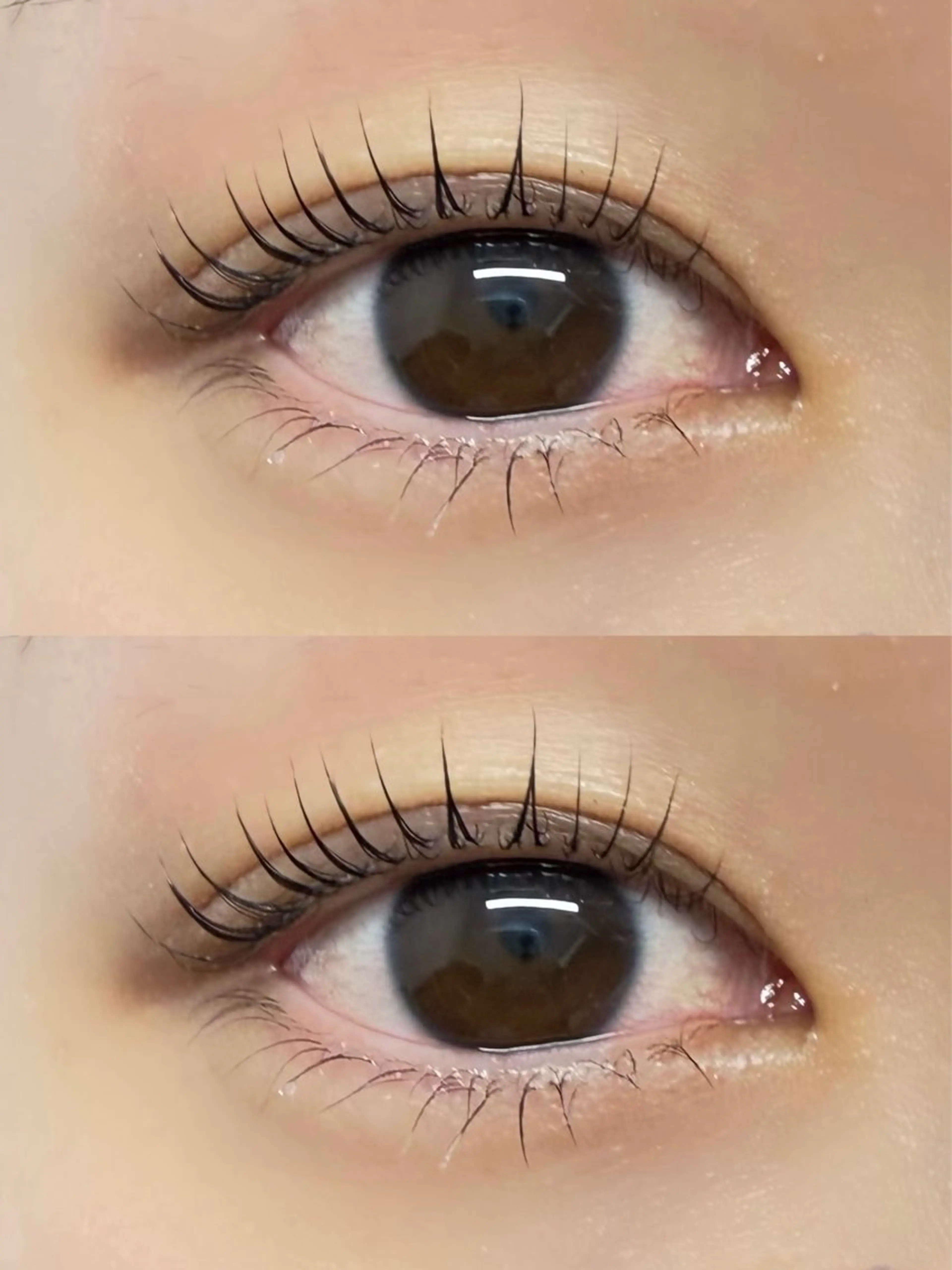 🎀\3/28限定/まつ毛パーマ 束間仕上げ🎀の写真