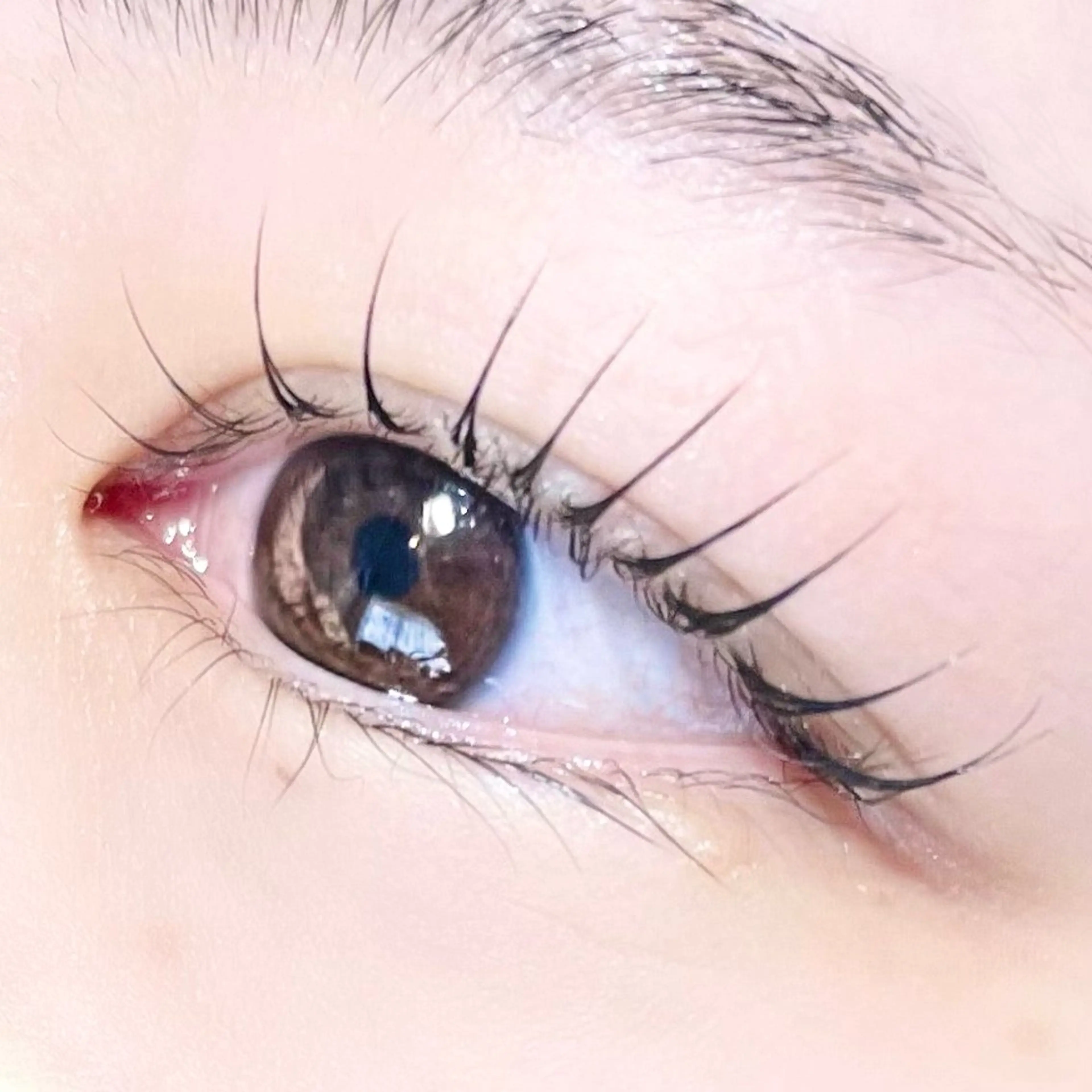 2回目以降の方🌼上まつ毛パーマ　アイシャンプー/コーティング付き🫧の写真