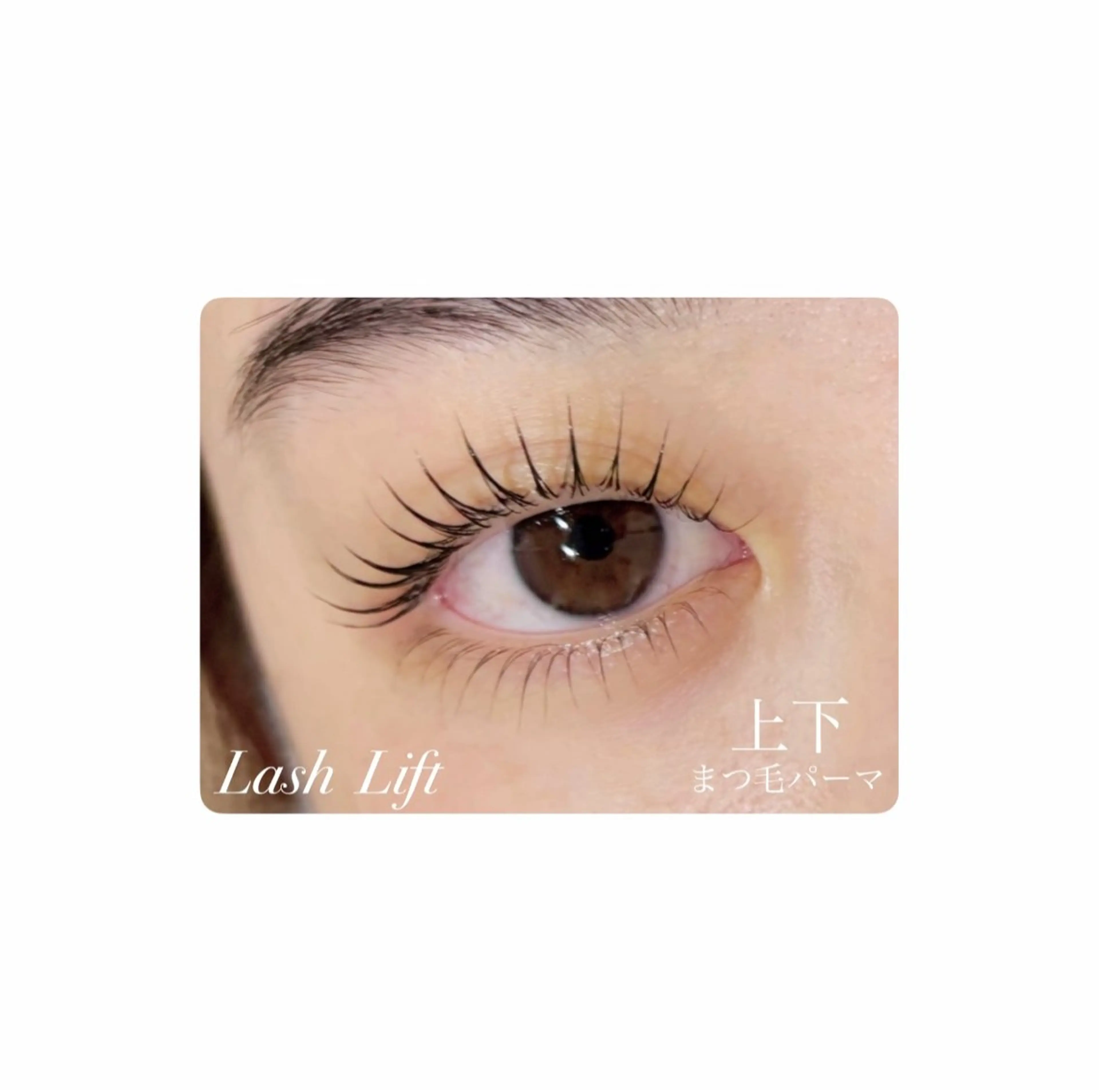 マツエク・マツパ 下まつげエクステ 一重×まつ毛パーマ Beauty　salon　Mil所属・🤍下村 絢香🤍のマツエク・マツパデザイン