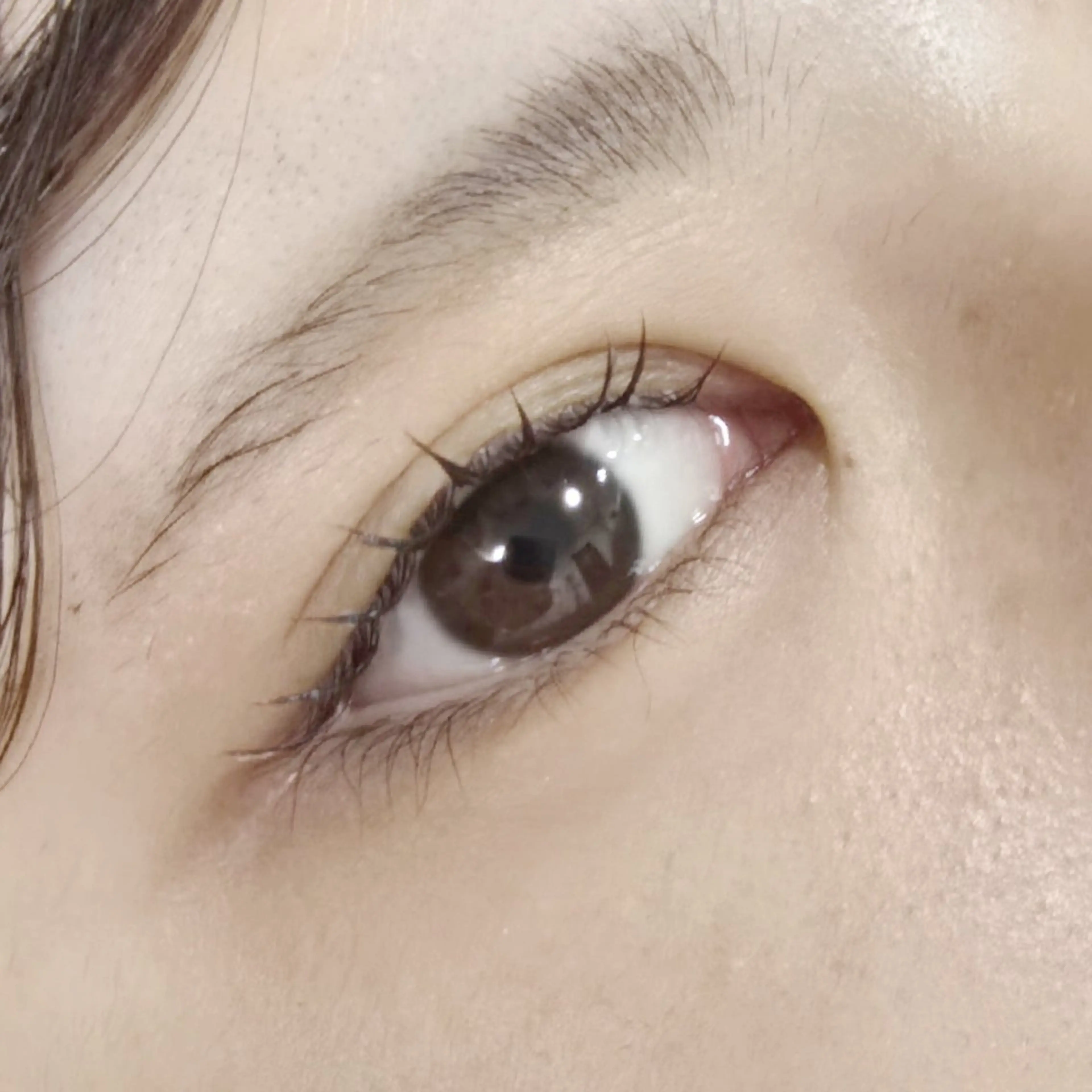 マツエク・マツパ マリーテレジア NAGATSUNAのマツエク・マツパデザイン