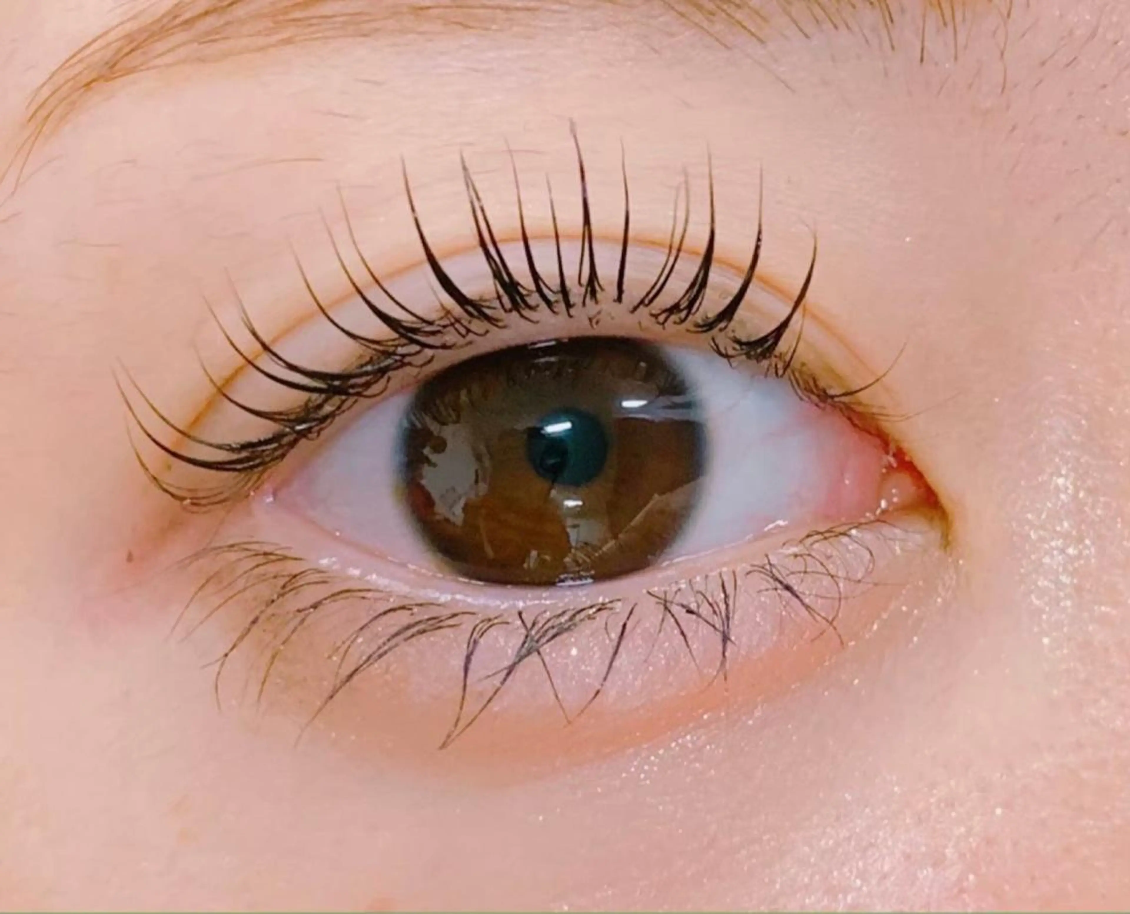 マツエク・マツパ carelly八千代緑が丘所属・carelly 🫧kahoのエステ・リラクイメージ