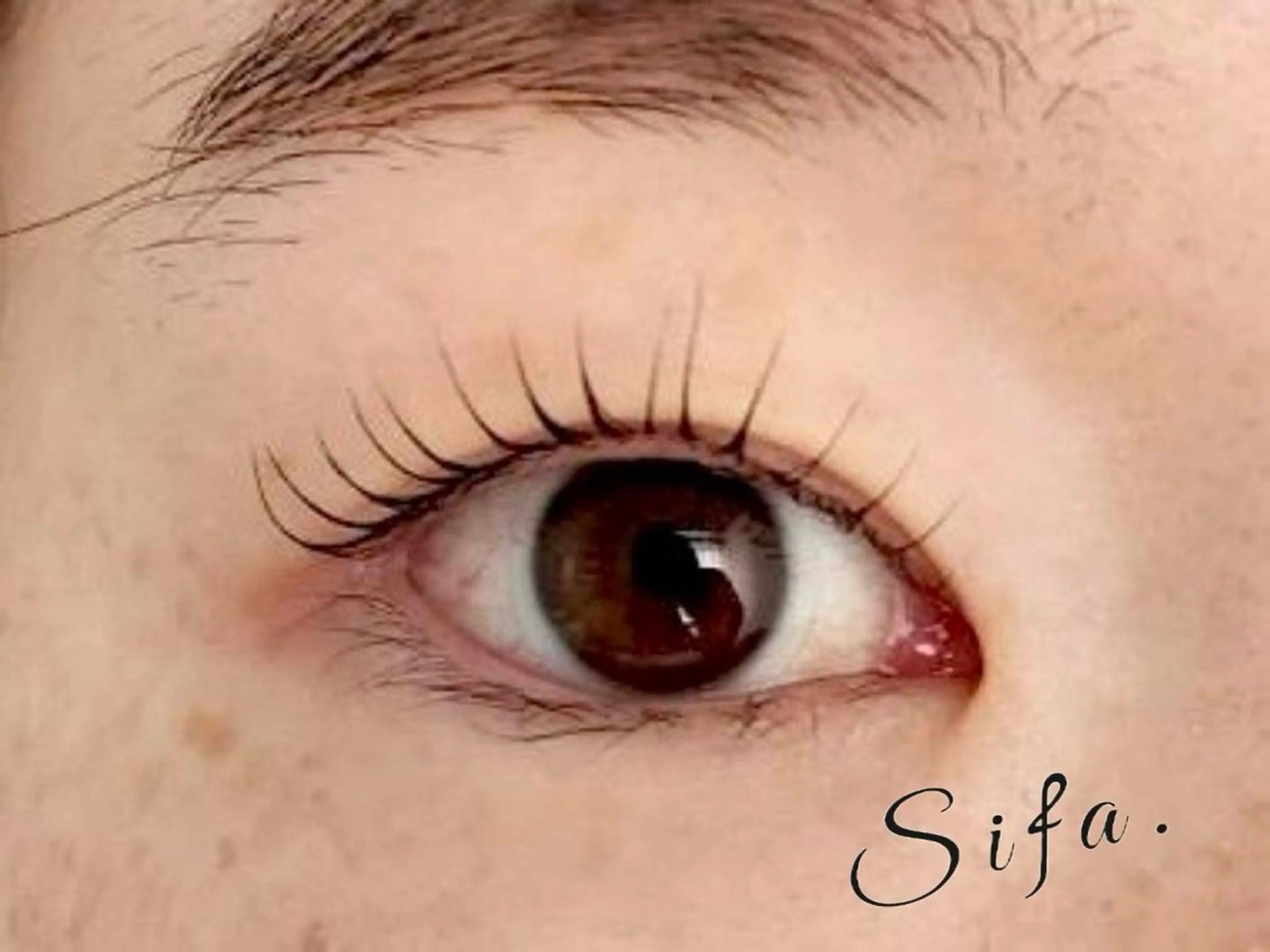 マツエク・マツパ 一重×まつ毛パーマ eyelash salon  Sifa所属・Sifa(シファ)2 0代向けまつげサロンのマツエク・マツパデザイン
