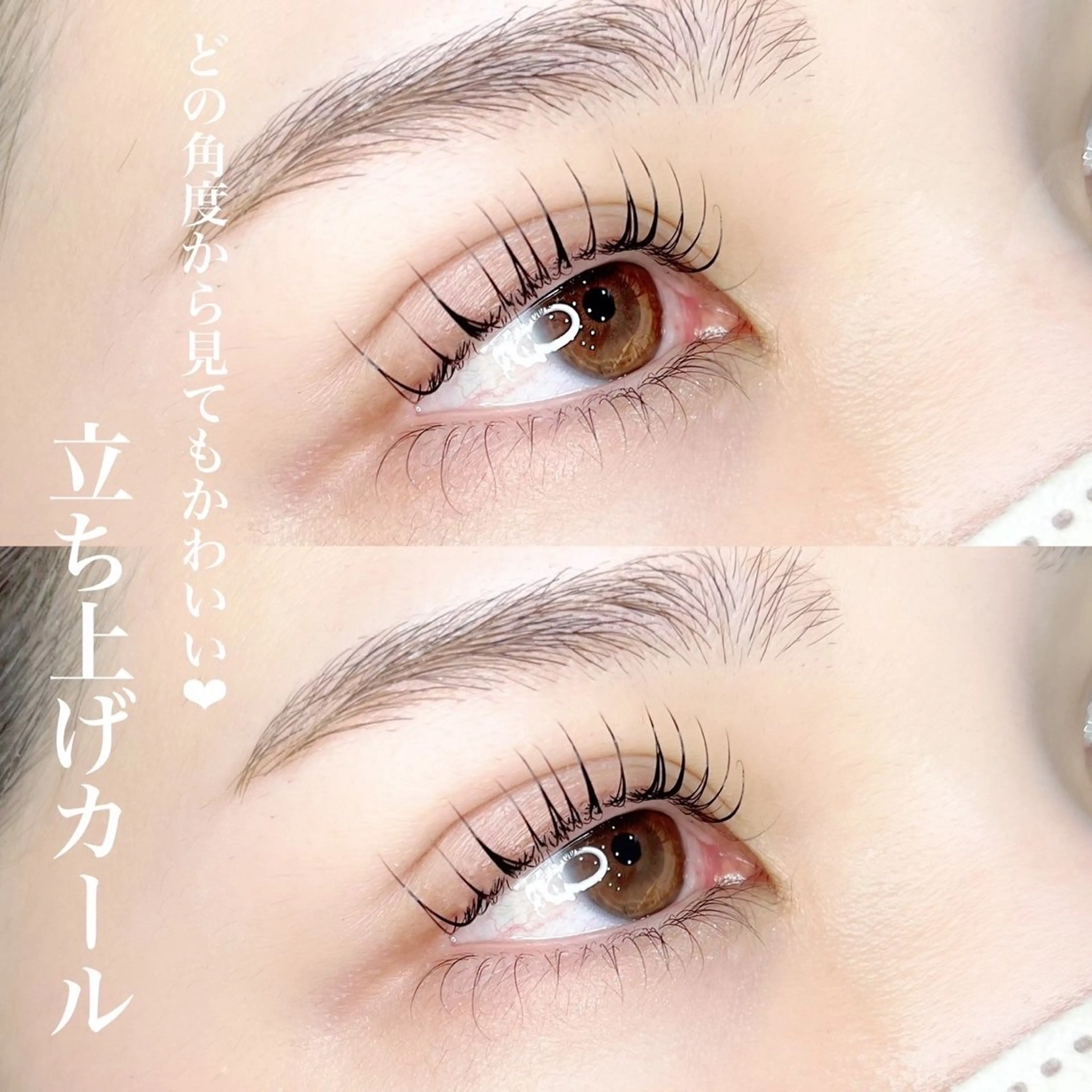 【ラッシュリフト】自分史上最強の目力に👁💫次世代まつげパーマ/上下セット🌱の写真