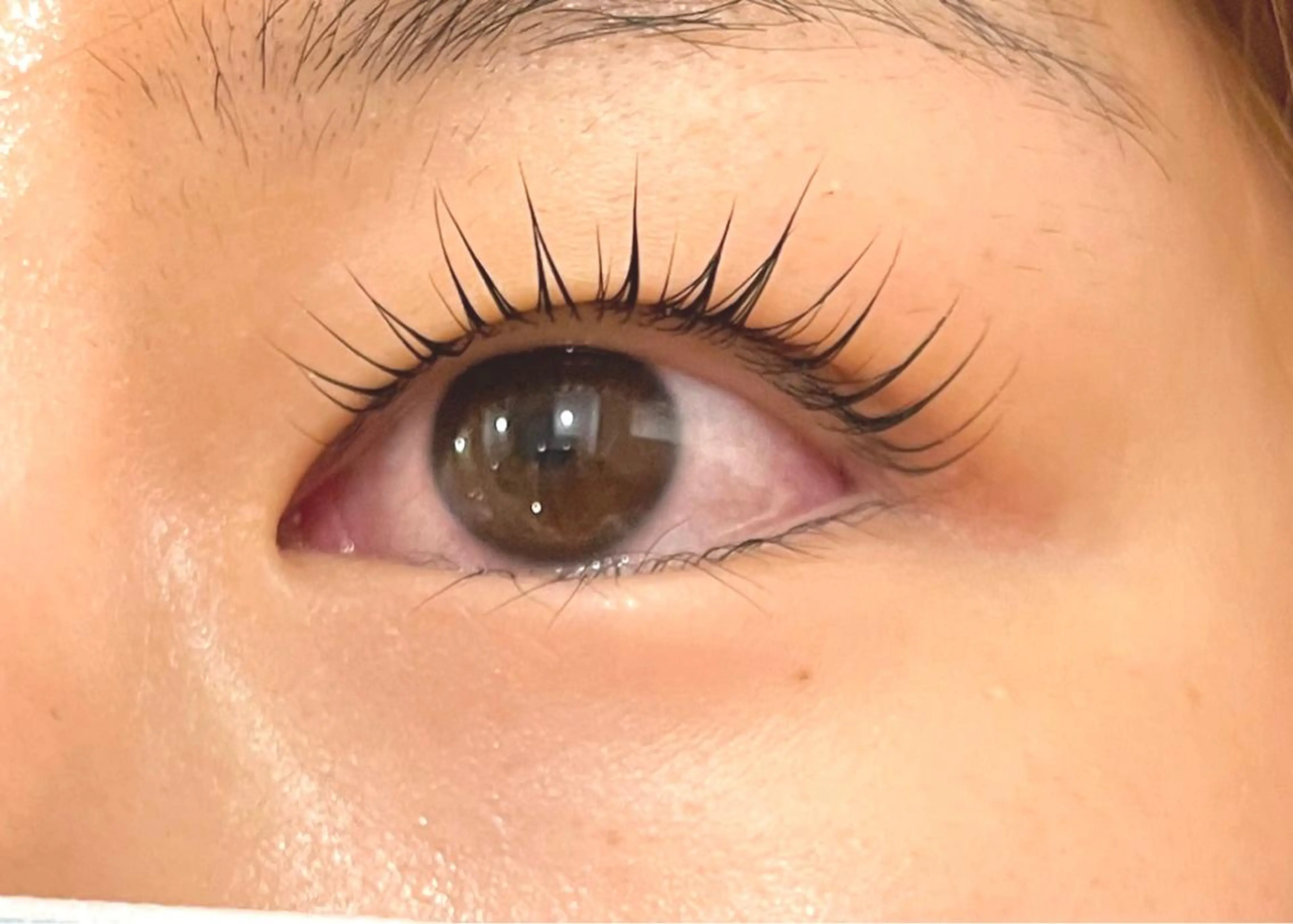 マツエク・マツパ マリーテレジア 🌻RUKAのマツエク・マツパデザイン