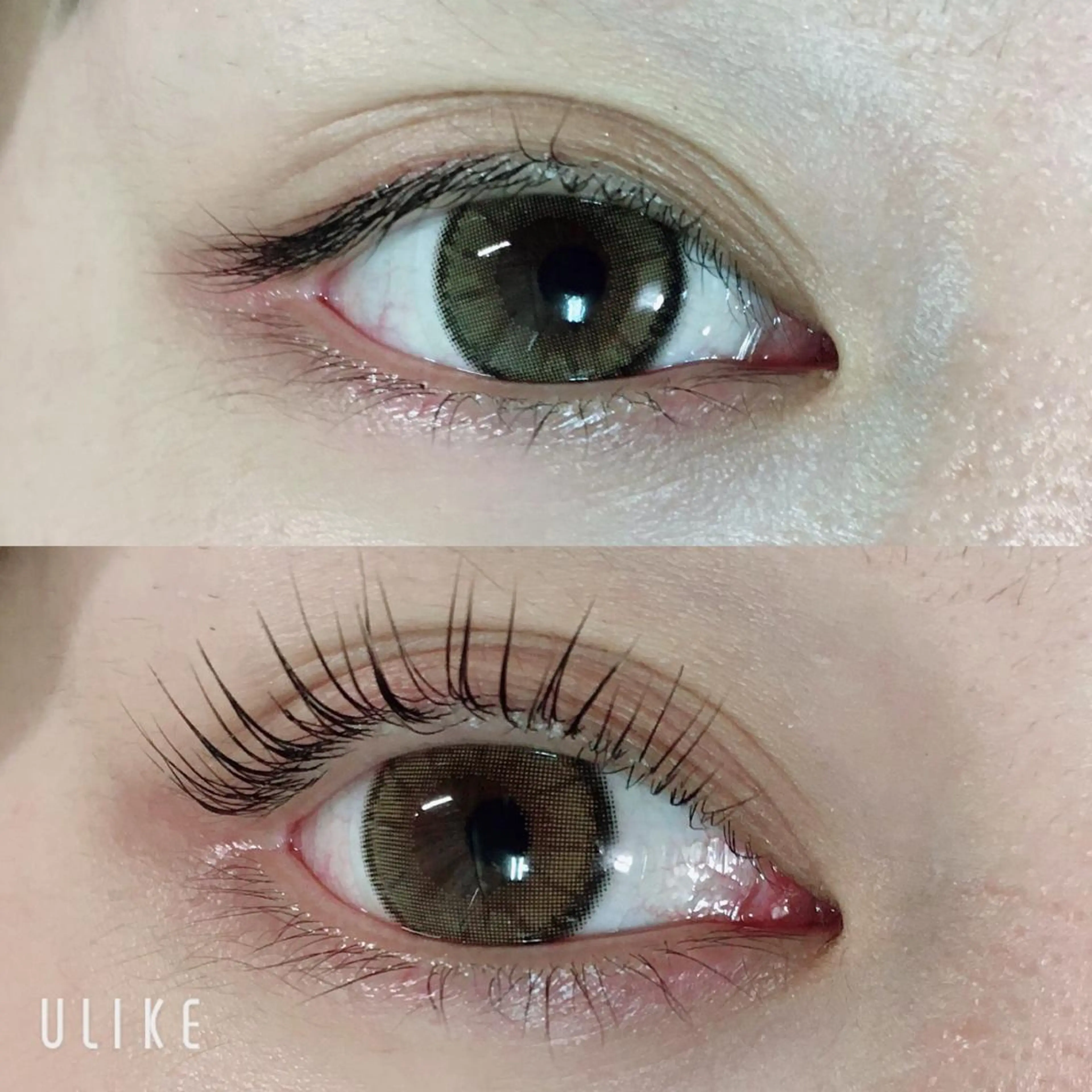 マツエク・マツパ マツパ Lotus.所属・Lotus. makoのエステ・リラクイメージ