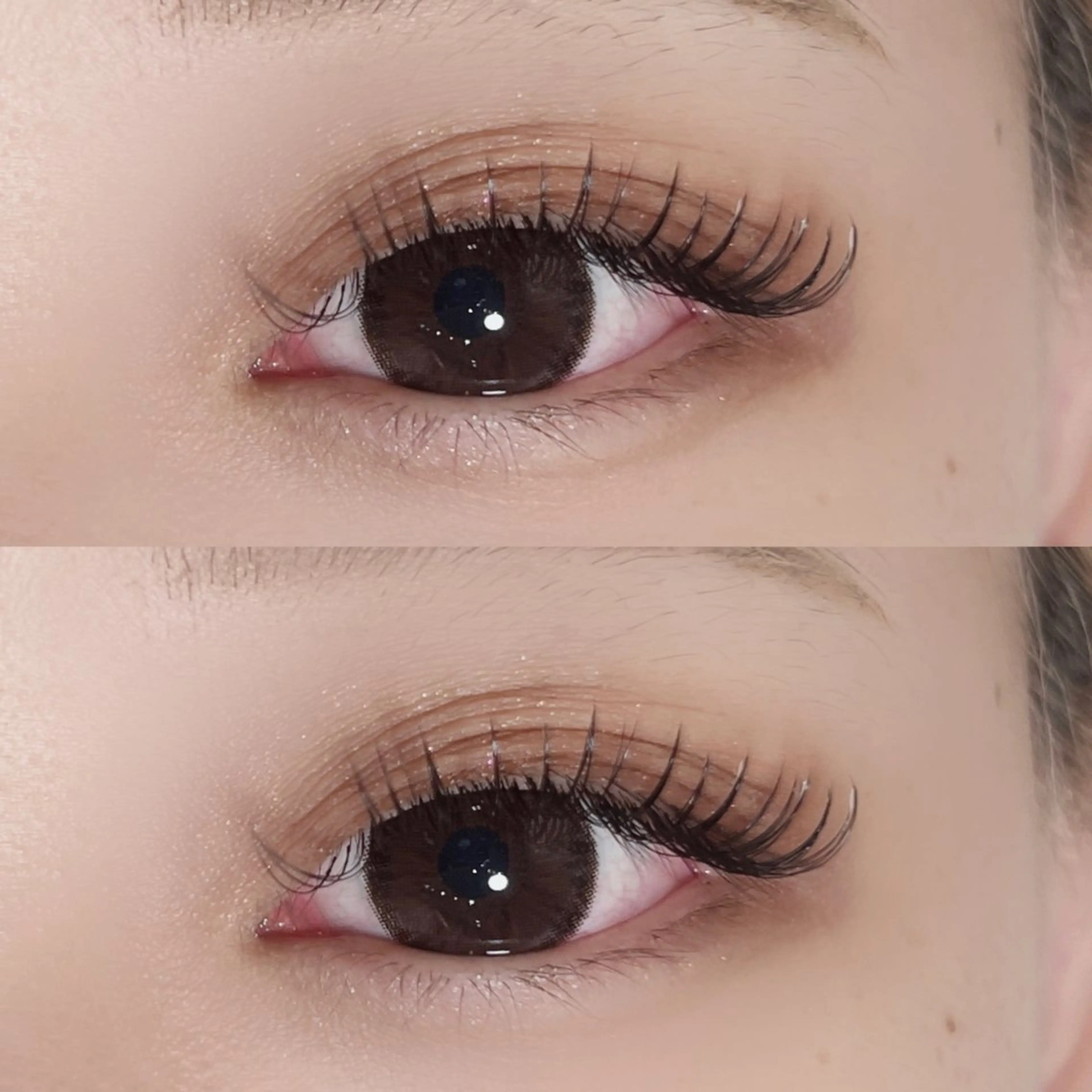 【オフ込】minimo限定価格☻フラットラッシュ100本の写真