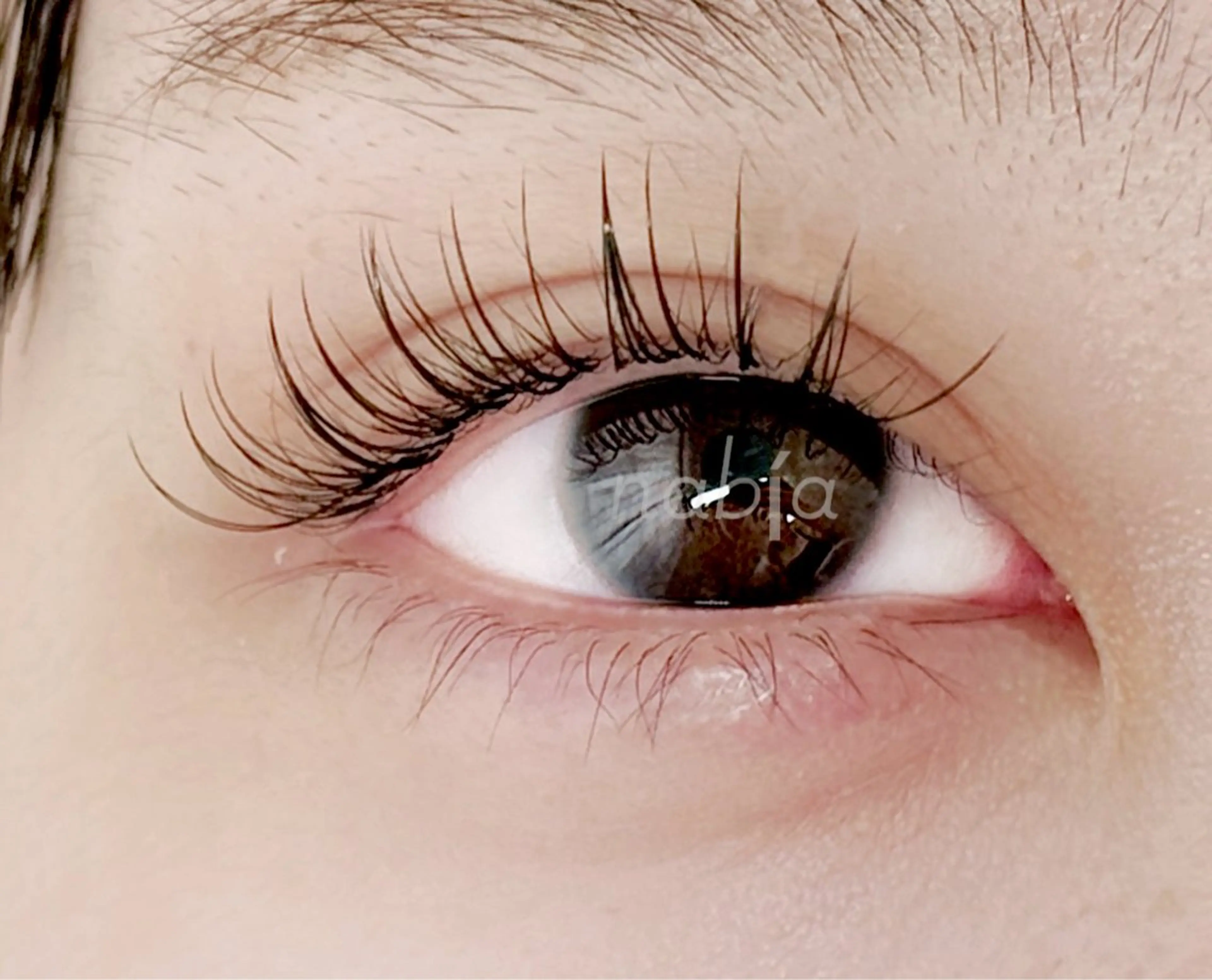 マツエク・マツパ nabía 上石神井のマツエク・マツパデザイン