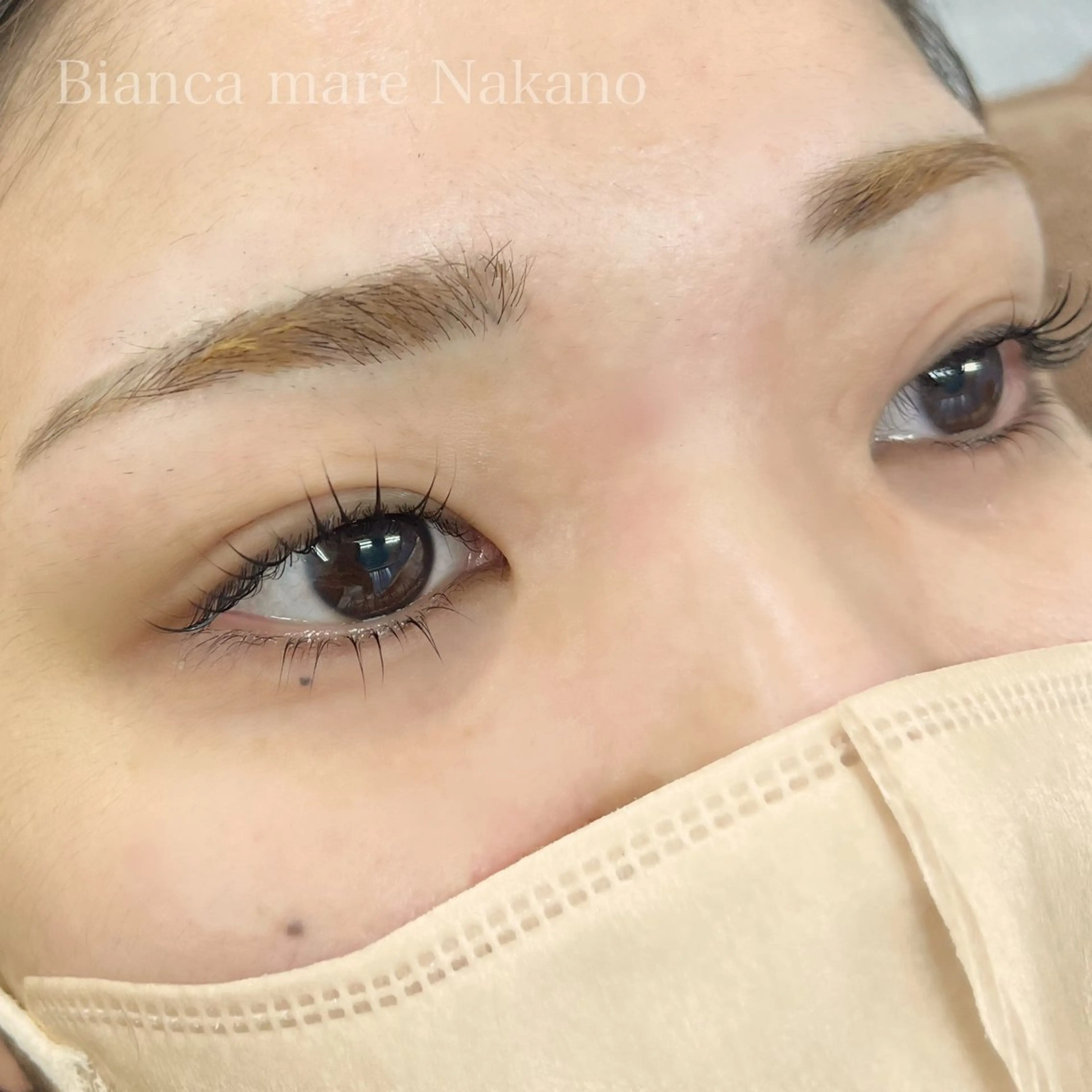 下まつげパーマのみ(中野/高円寺/阿佐ヶ谷)の写真