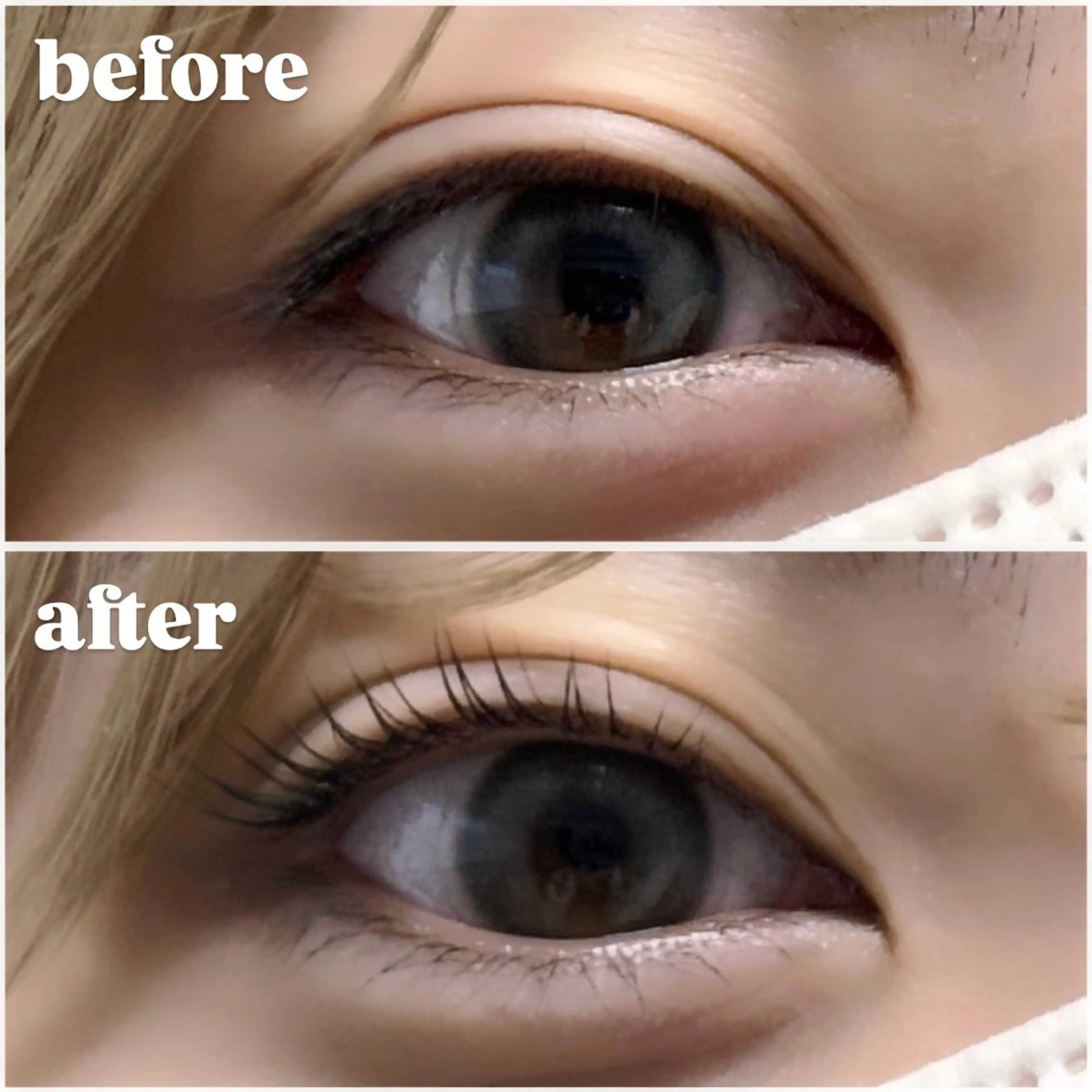 マツエク・マツパ C edit(旧：Me_salon)所属・藤川 心響のマツエク・マツパデザイン