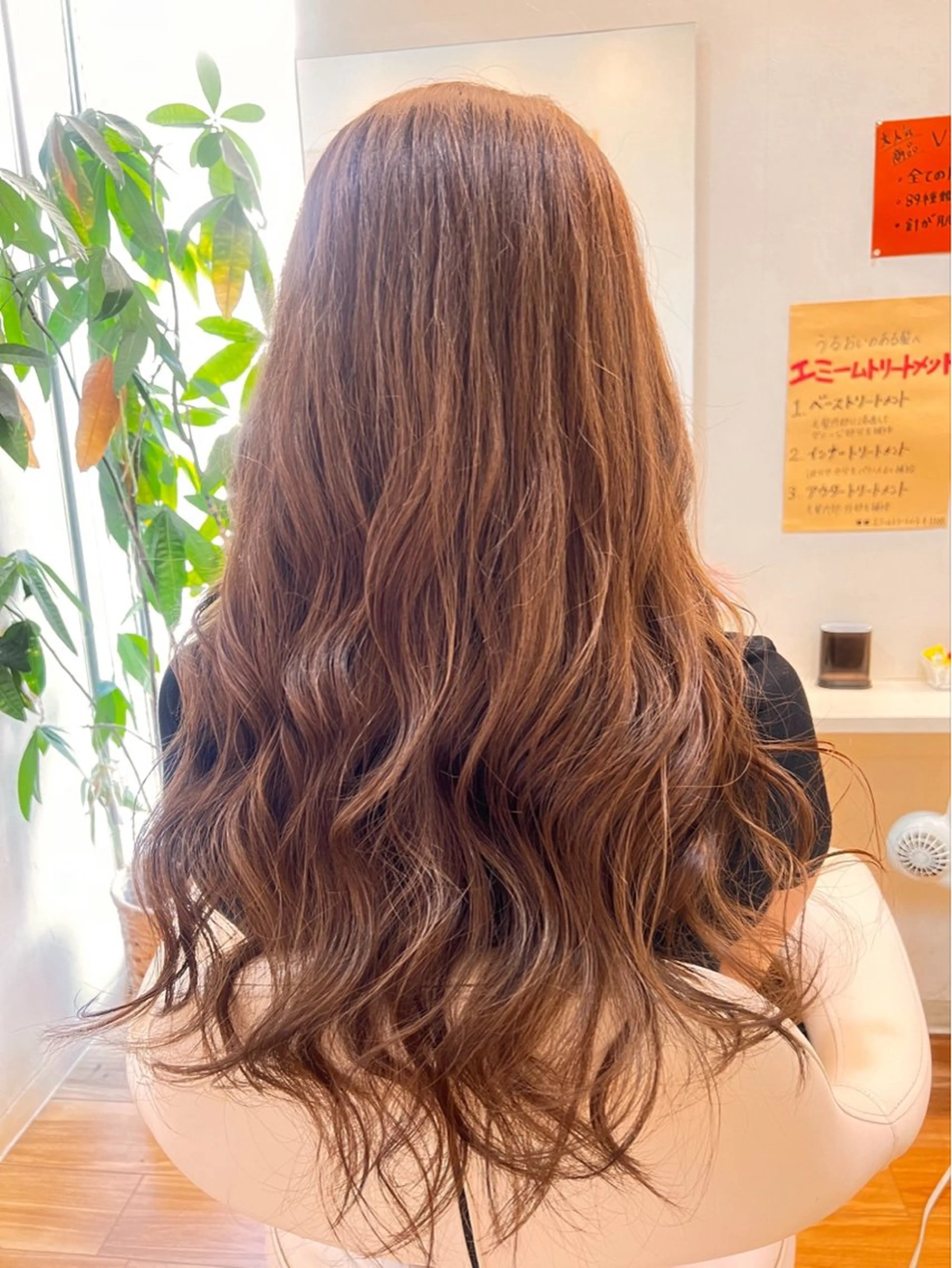 全体カラーモデル募集👩🏻‍🦰✨の写真