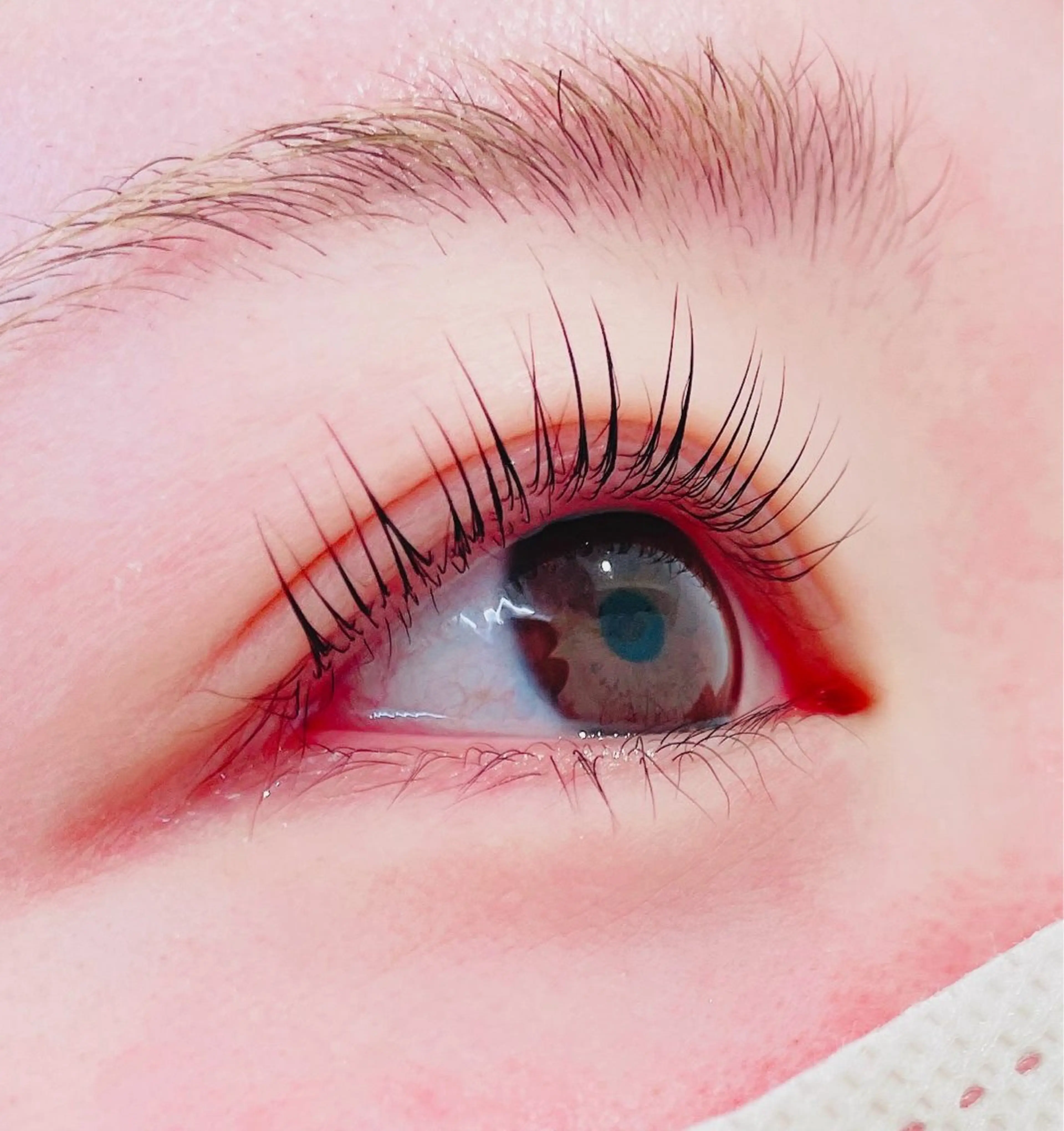 マツエク・マツパ パリジェンヌラッシュリフト 一重×まつ毛パーマ SEED&Beauty代官山所属・ABE 祐天寺アイラッシュのマツエク・マツパデザイン