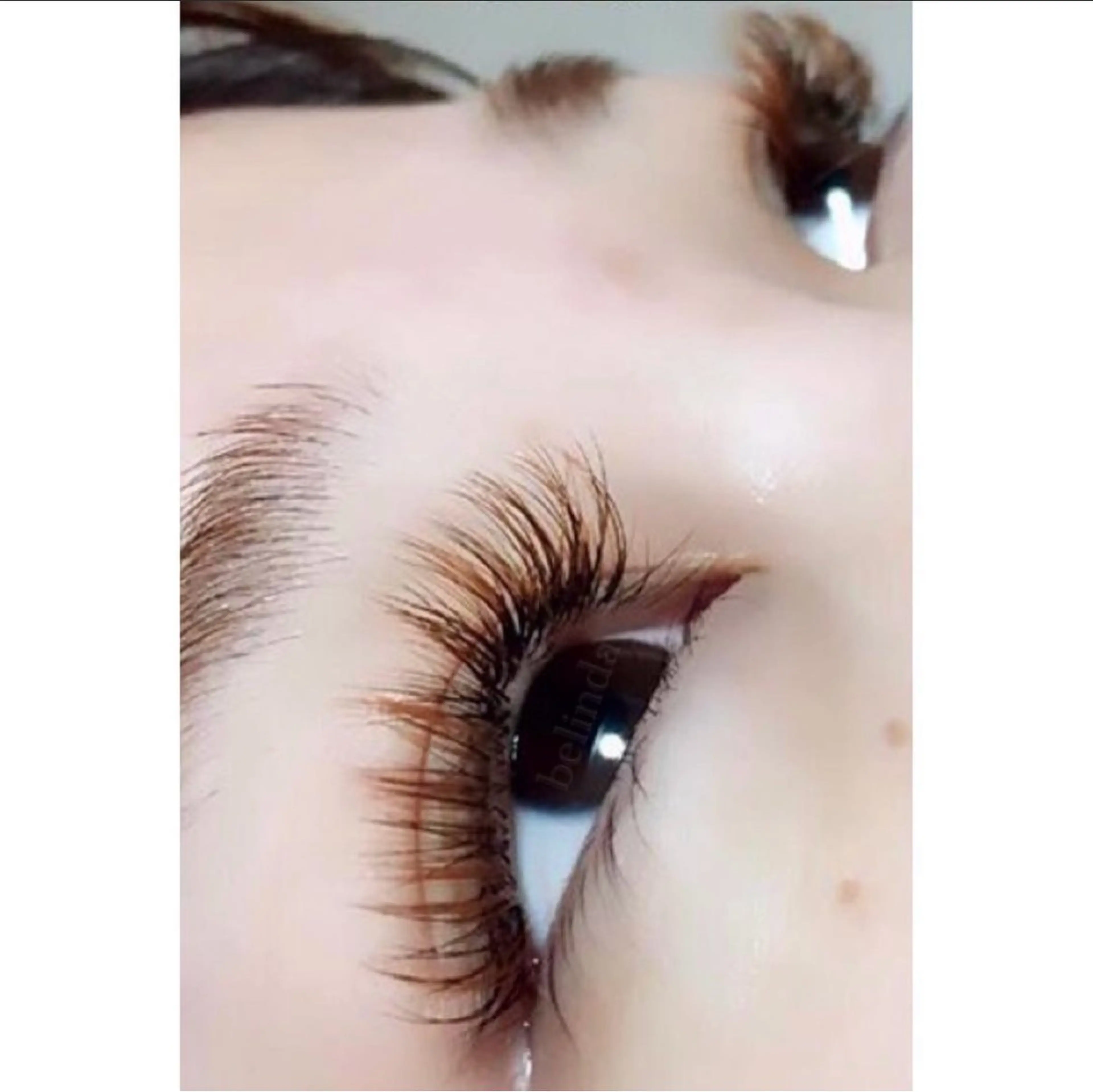 【高級セーブル使用】ボリュームラッシュ４００本の写真