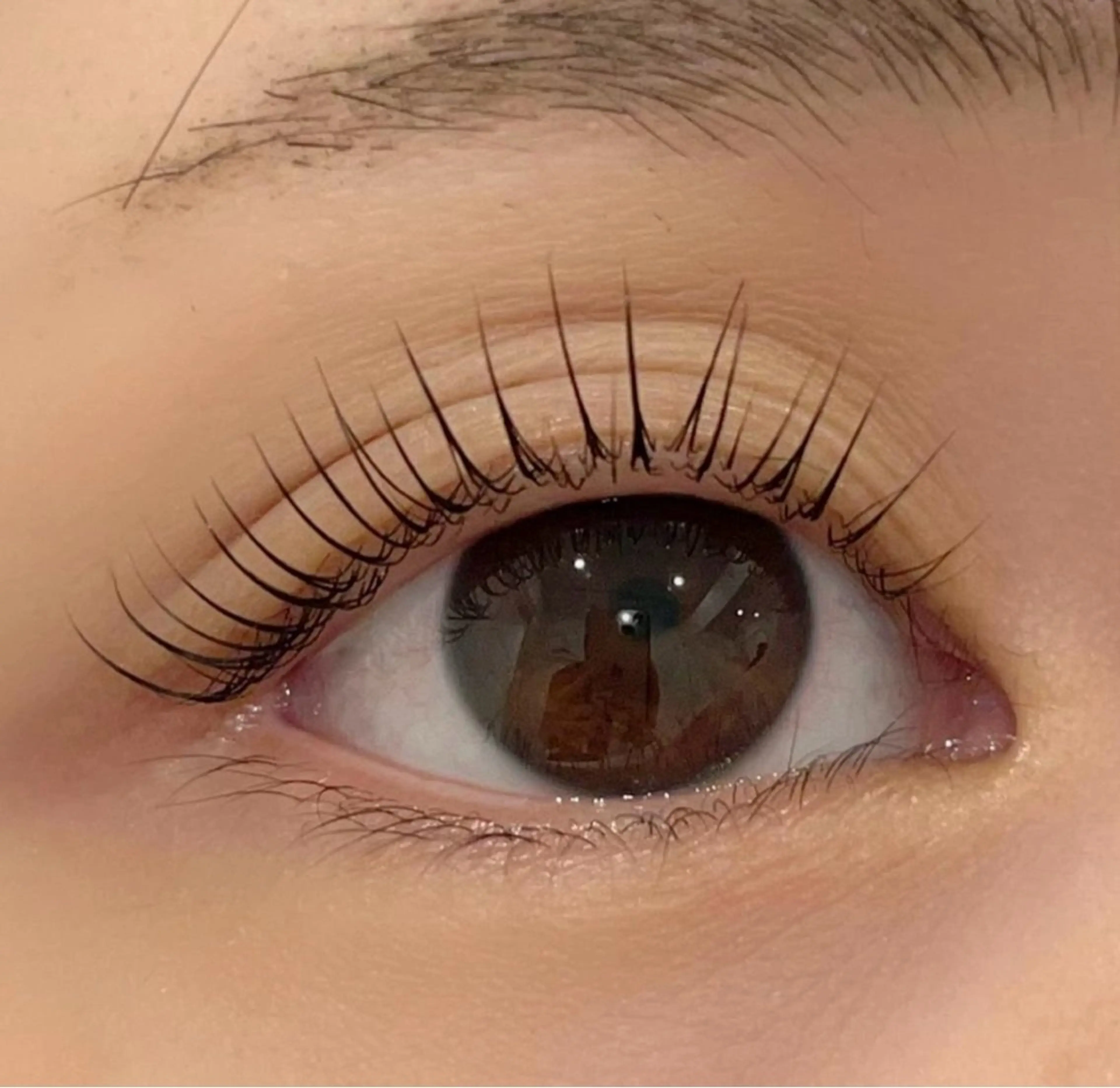 🦋personal lash lift🦋束感コーティング仕上げ※写真撮影必須※の写真
