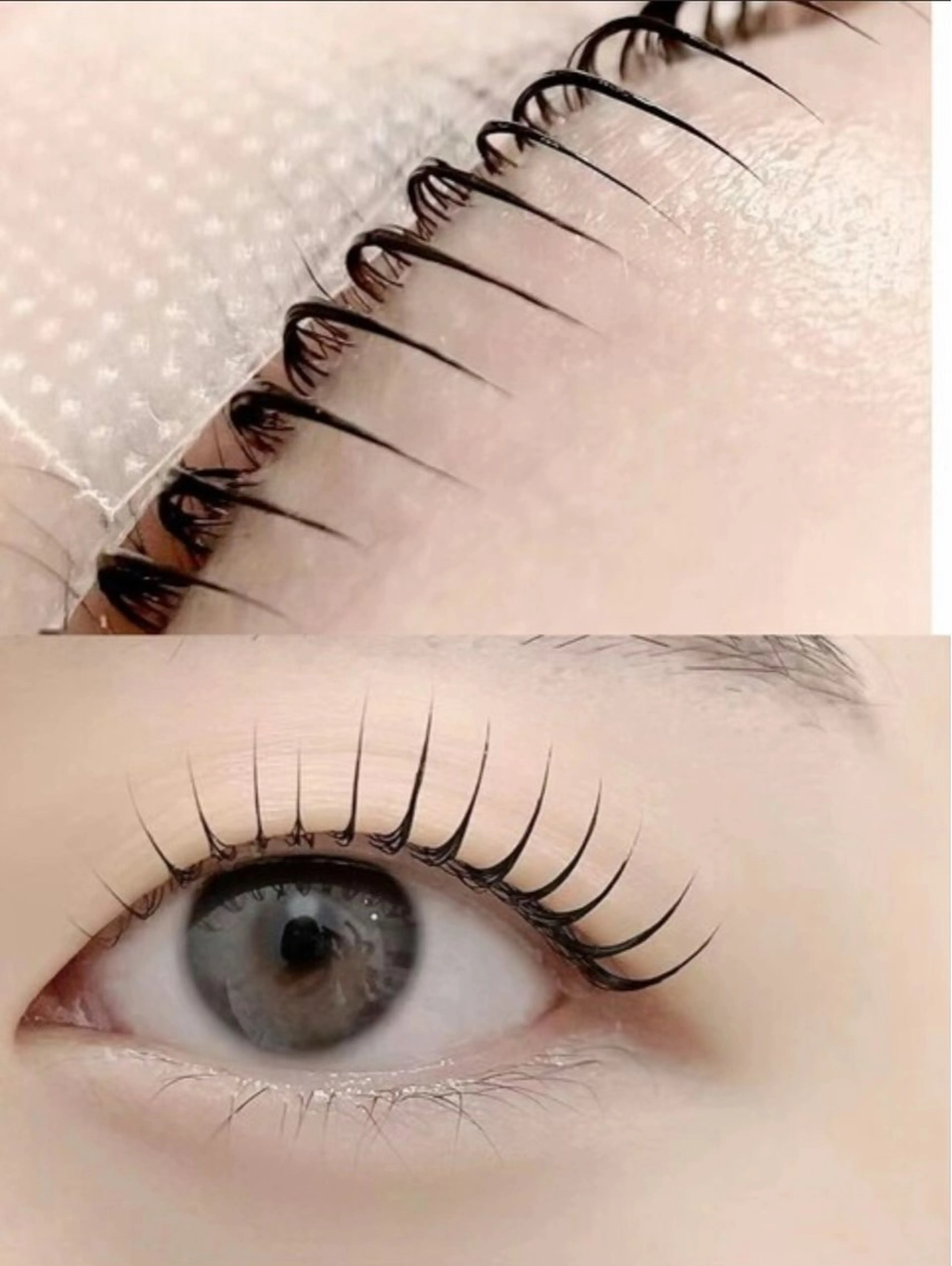 パリジェンヌラッシュリフトの写真