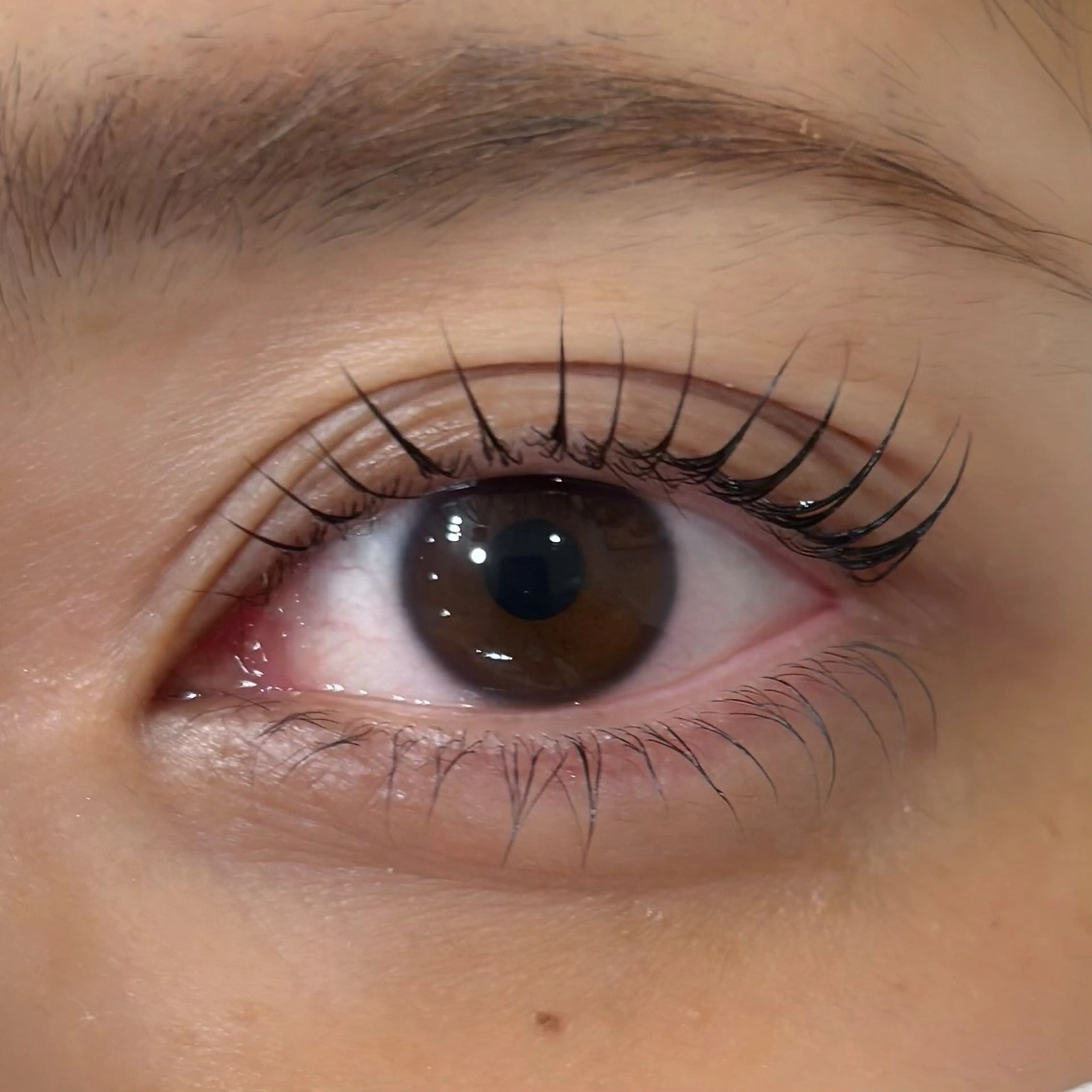 マツエク・マツパ マツパ BIANCA🤍🎀 OGAWAのマツエク・マツパデザイン