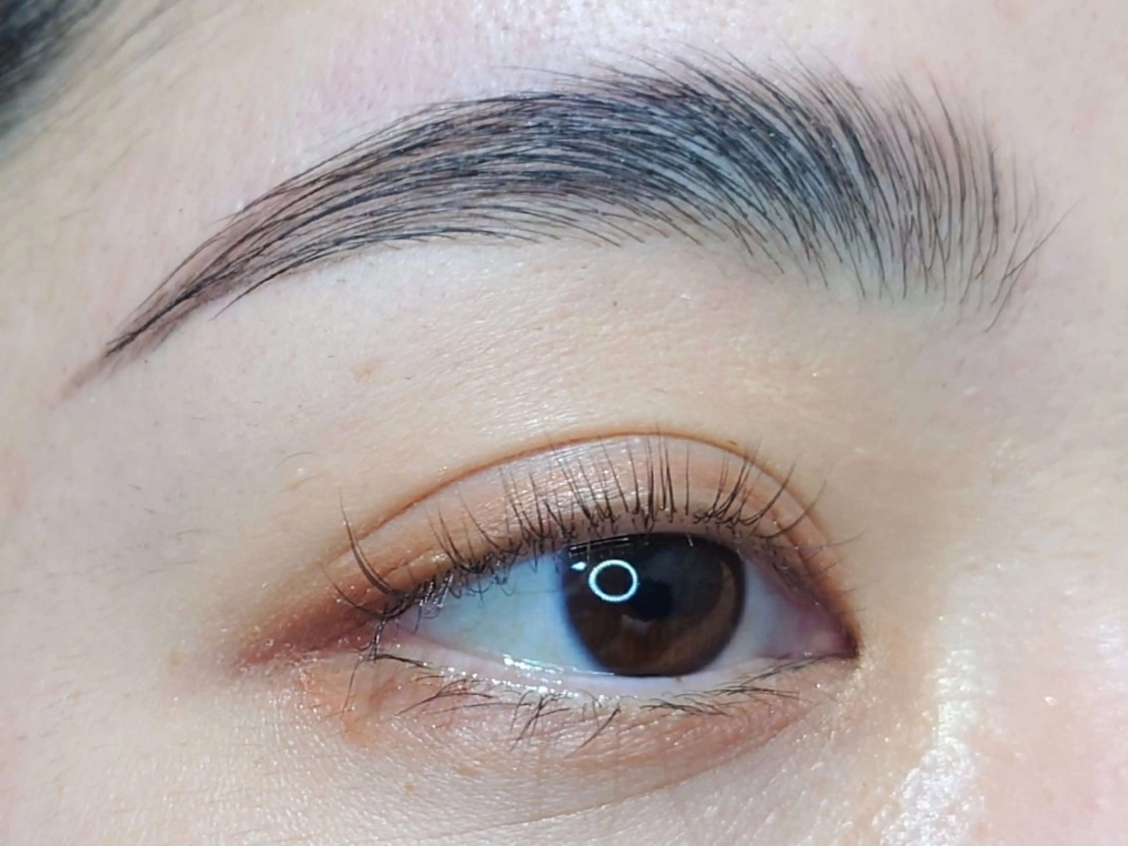 アイブロウ ハリウッドブロウリフト その他(アイブロウ) joie ange 難波店　斎藤のマツエク・マツパデザイン