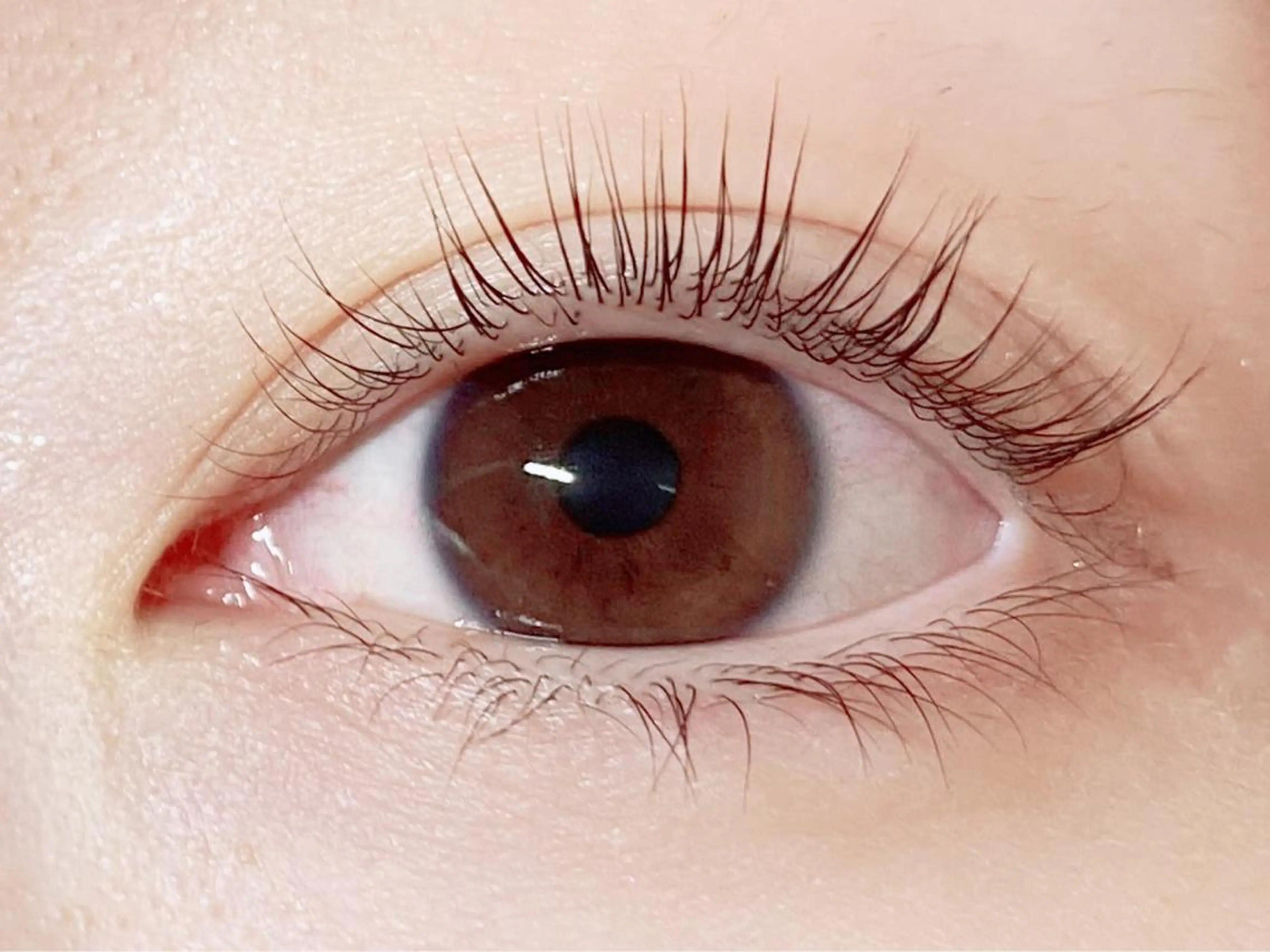 マツエク・マツパ 溜 一太のヘアスタイル